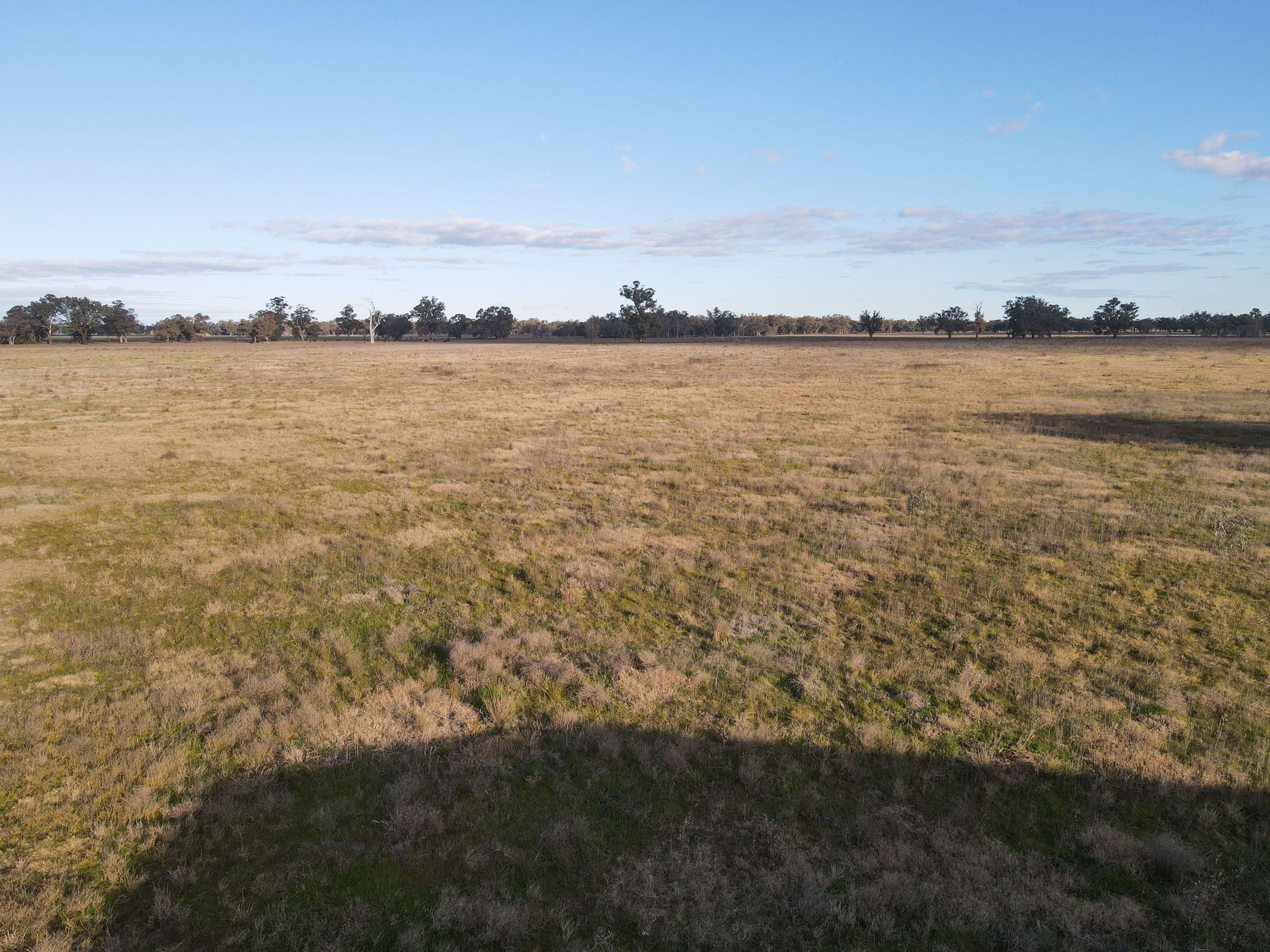 Part Troubalgie, 350 Acres - Forbes, NSW