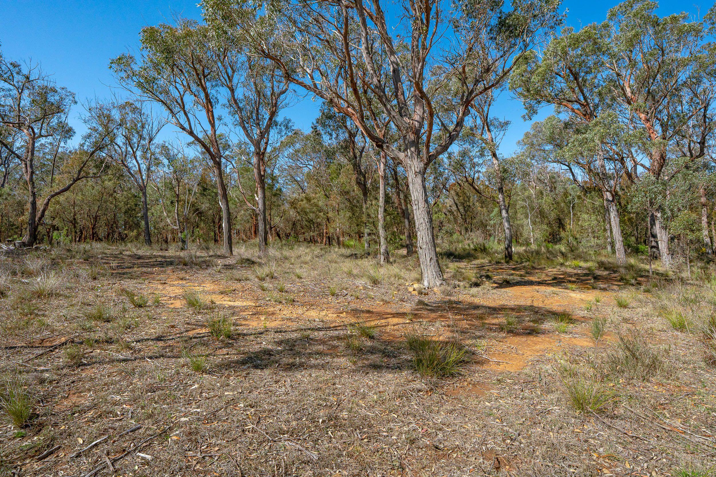 Prop-GPT: Lifestyle: NSW Bungonia, NSW 2580 Rural