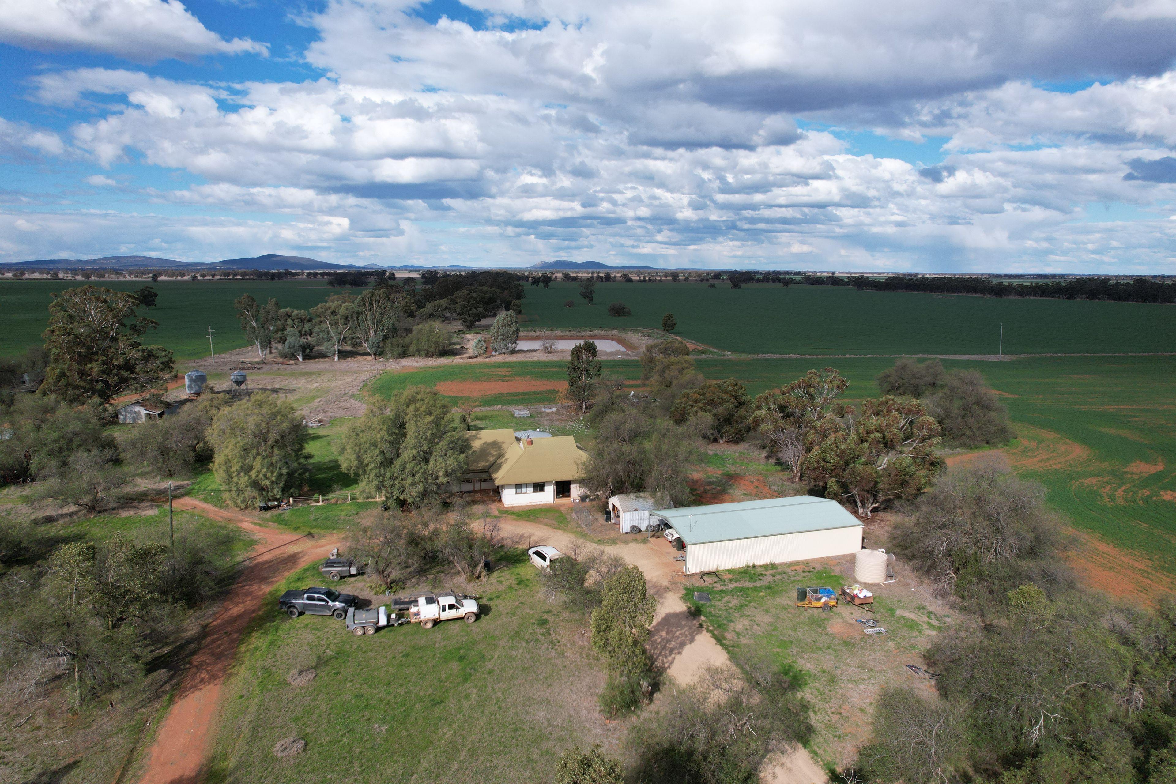 'The Gums' Ootha