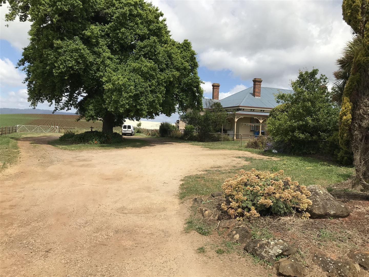 Prop-GPT: House: TAS Scottsdale, TAS 7260 Tasmania 7260