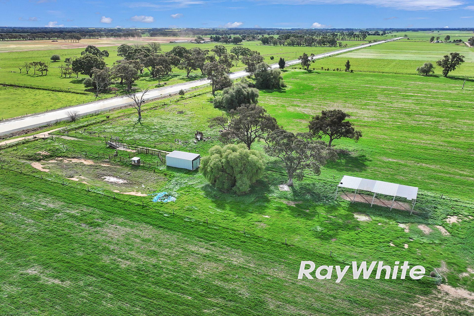 Irrigation Farm AUCTION - Prime 125 acre Block