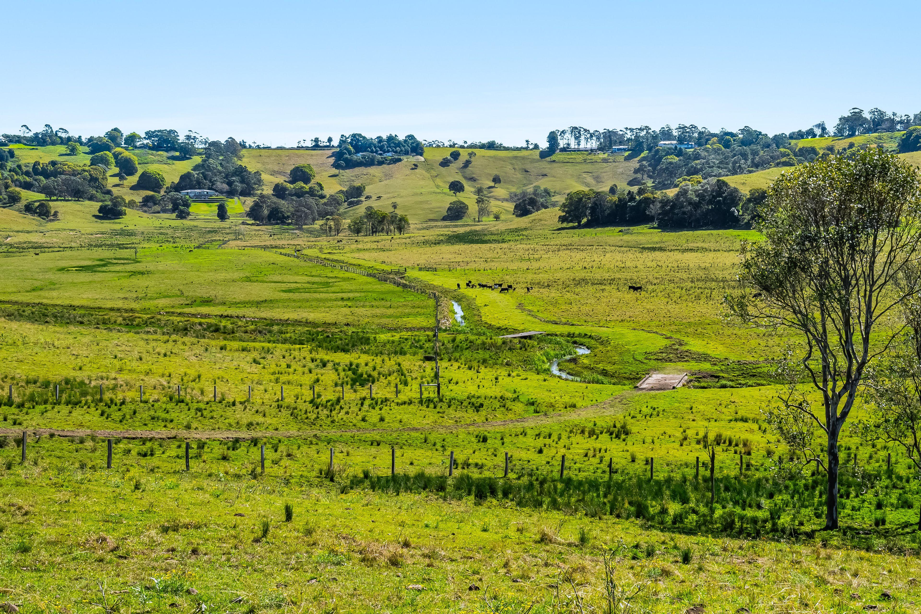 Nearly 100 acres of cleared hinterland with scenic views