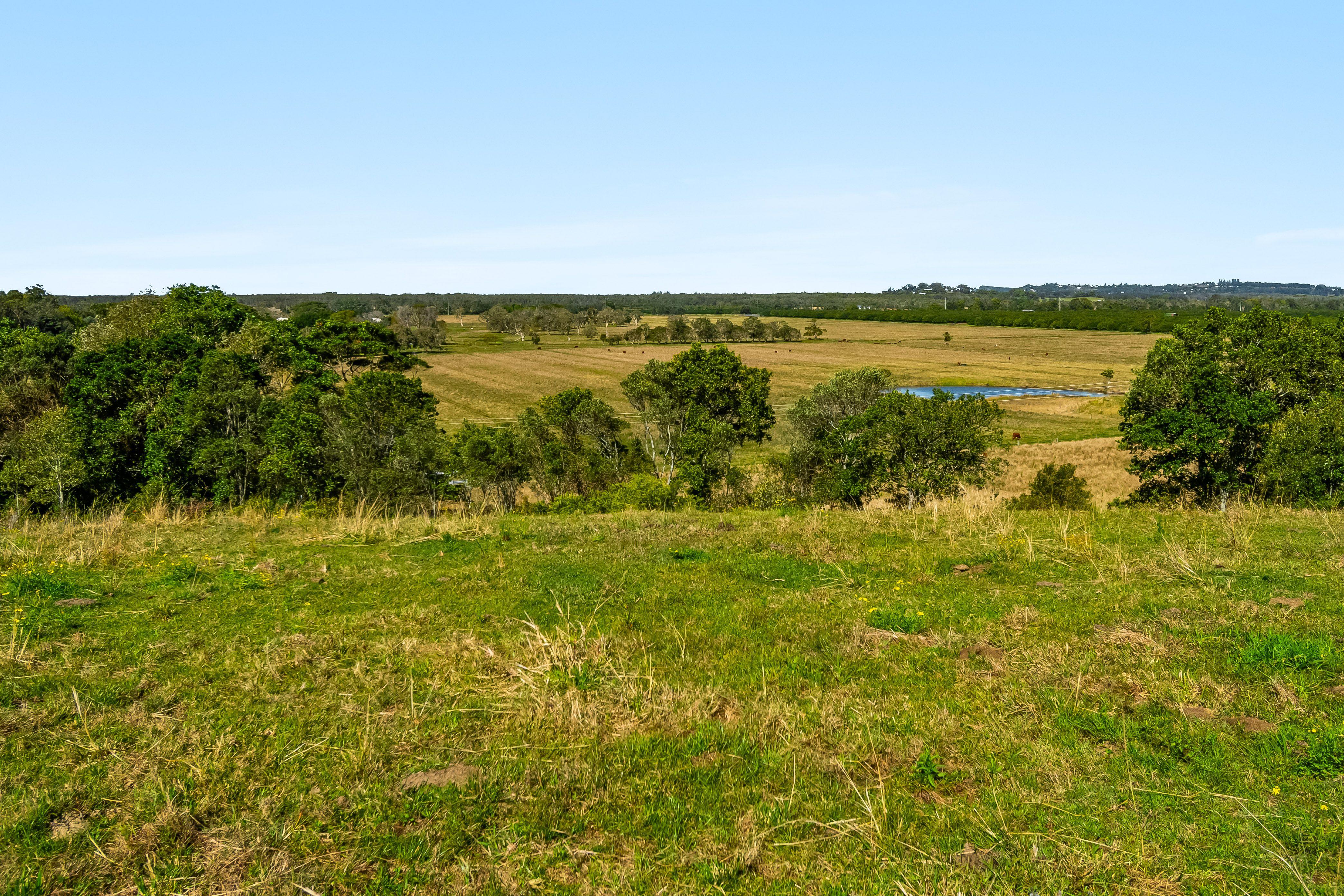 Nearly 100 acres of cleared hinterland with scenic views
