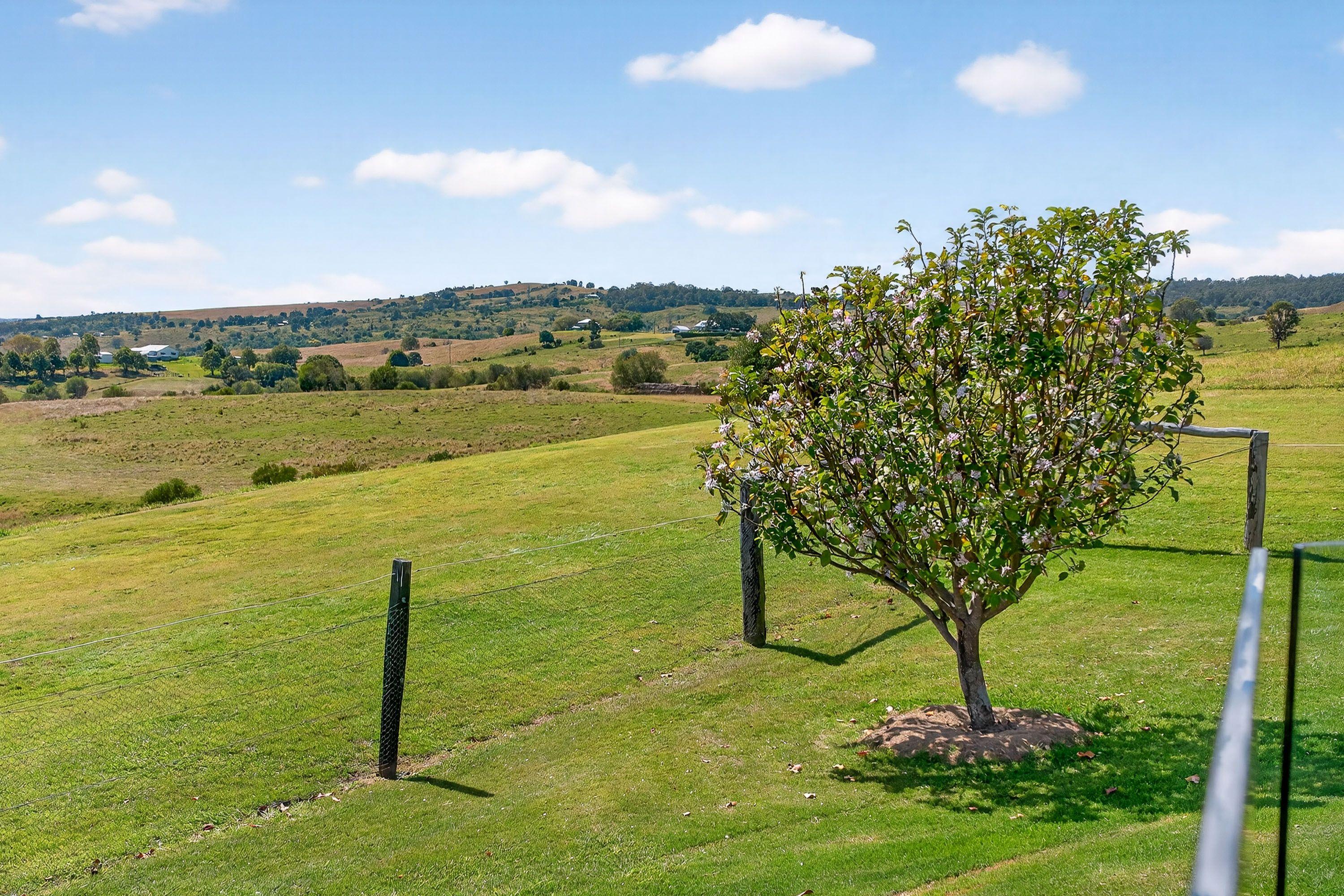 Executive Rural Living With Pool & Horse Facilities - 67 Acres in the Heart of the Scenic Rim
