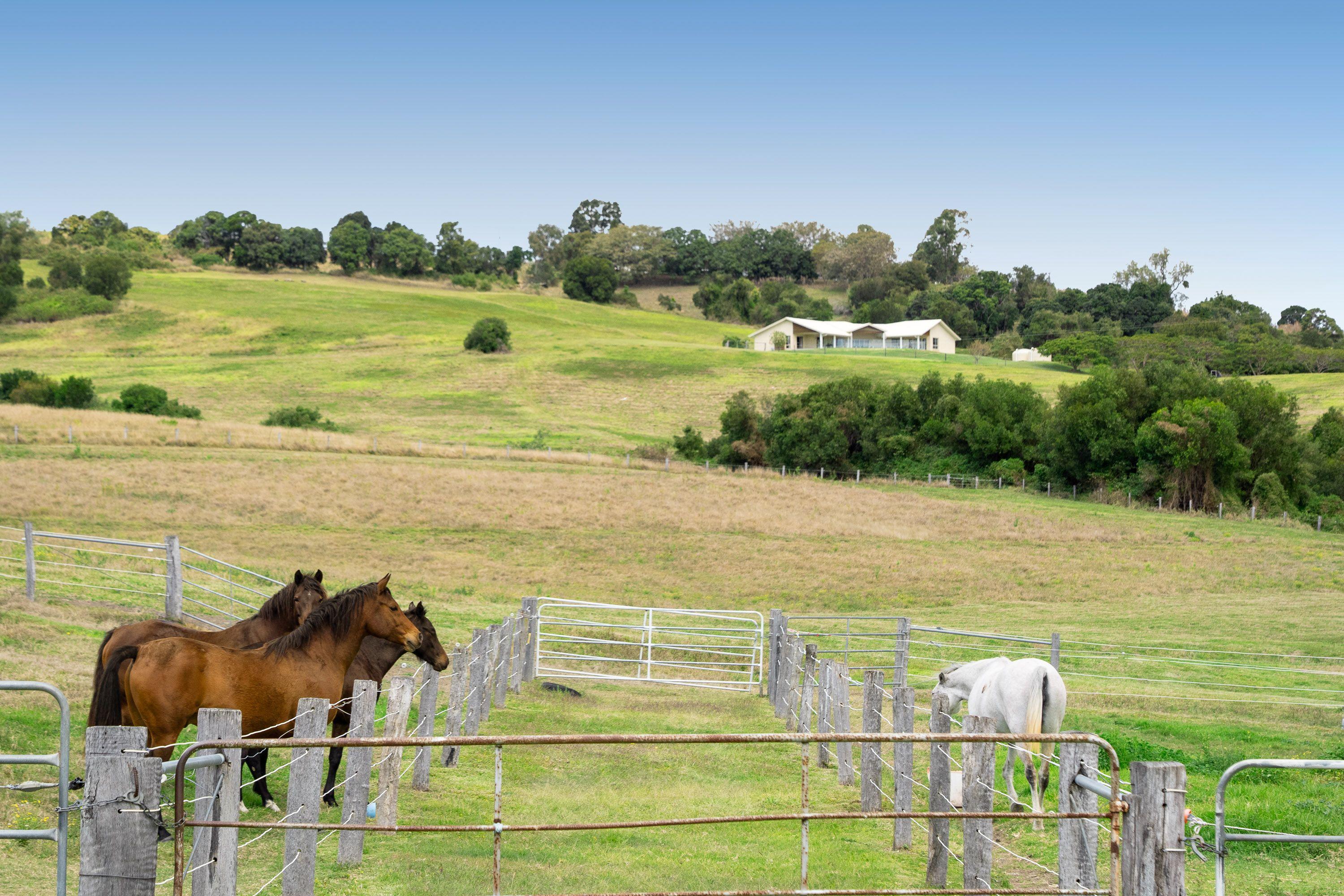 Executive Rural Living With Pool & Horse Facilities - 67 Acres in the Heart of the Scenic Rim