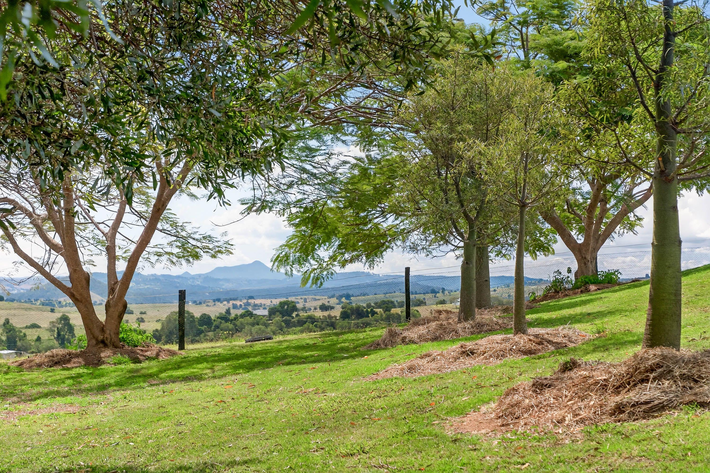 Executive Rural Living With Pool & Horse Facilities - 67 Acres in the Heart of the Scenic Rim