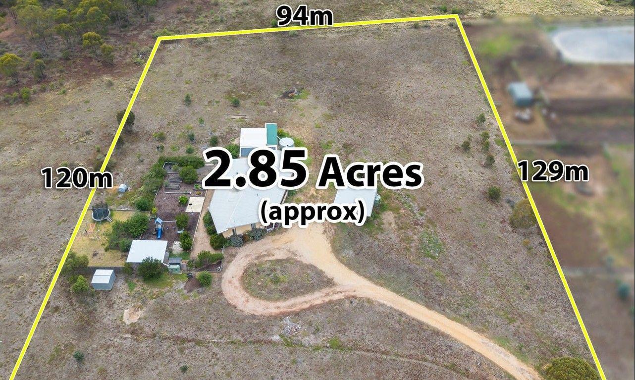 THE BEST OF BOTH WORLDS