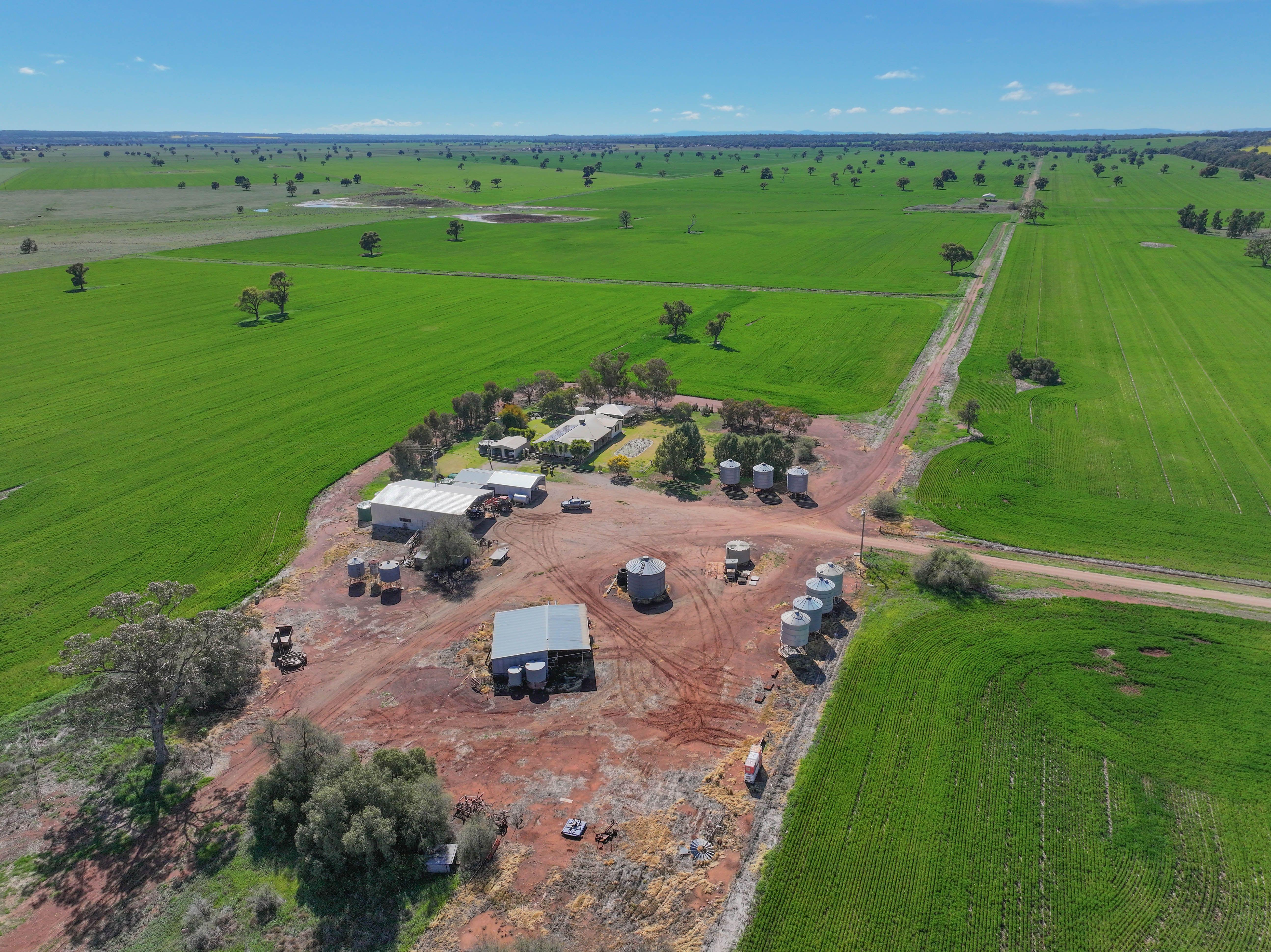 Mixed Farming Opportunity - 