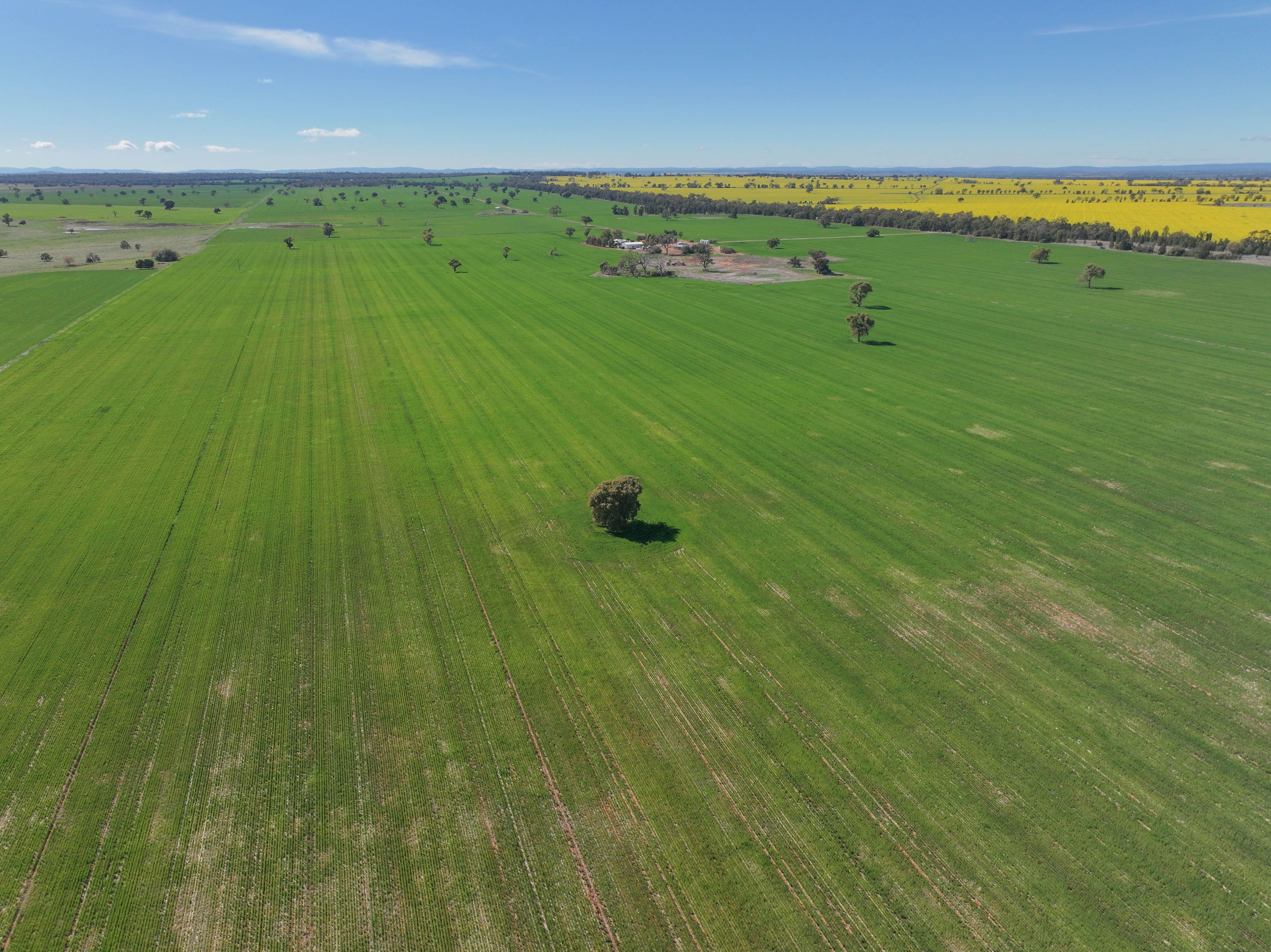 Mixed Farming Opportunity - 