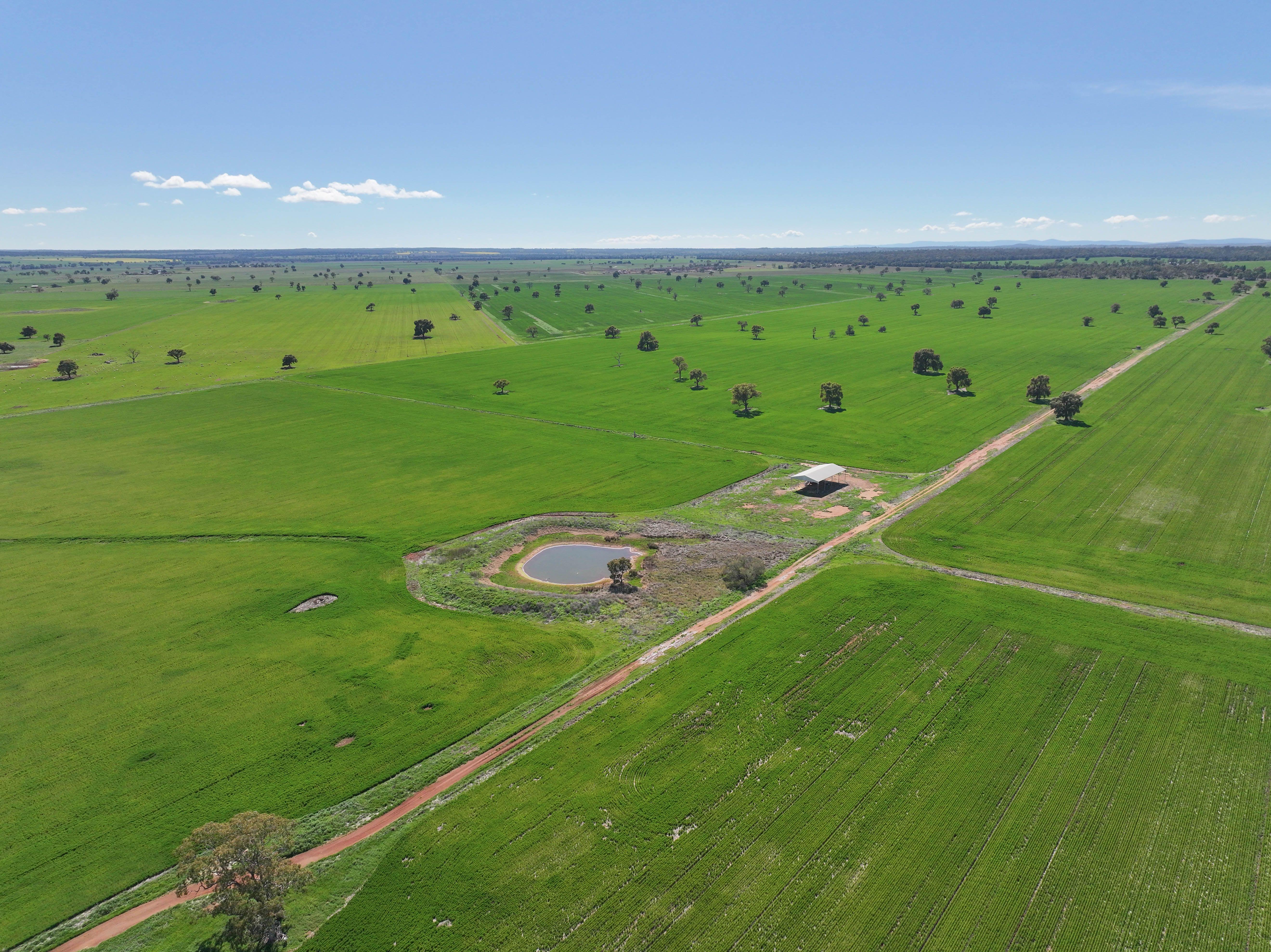 Mixed Farming Opportunity - 