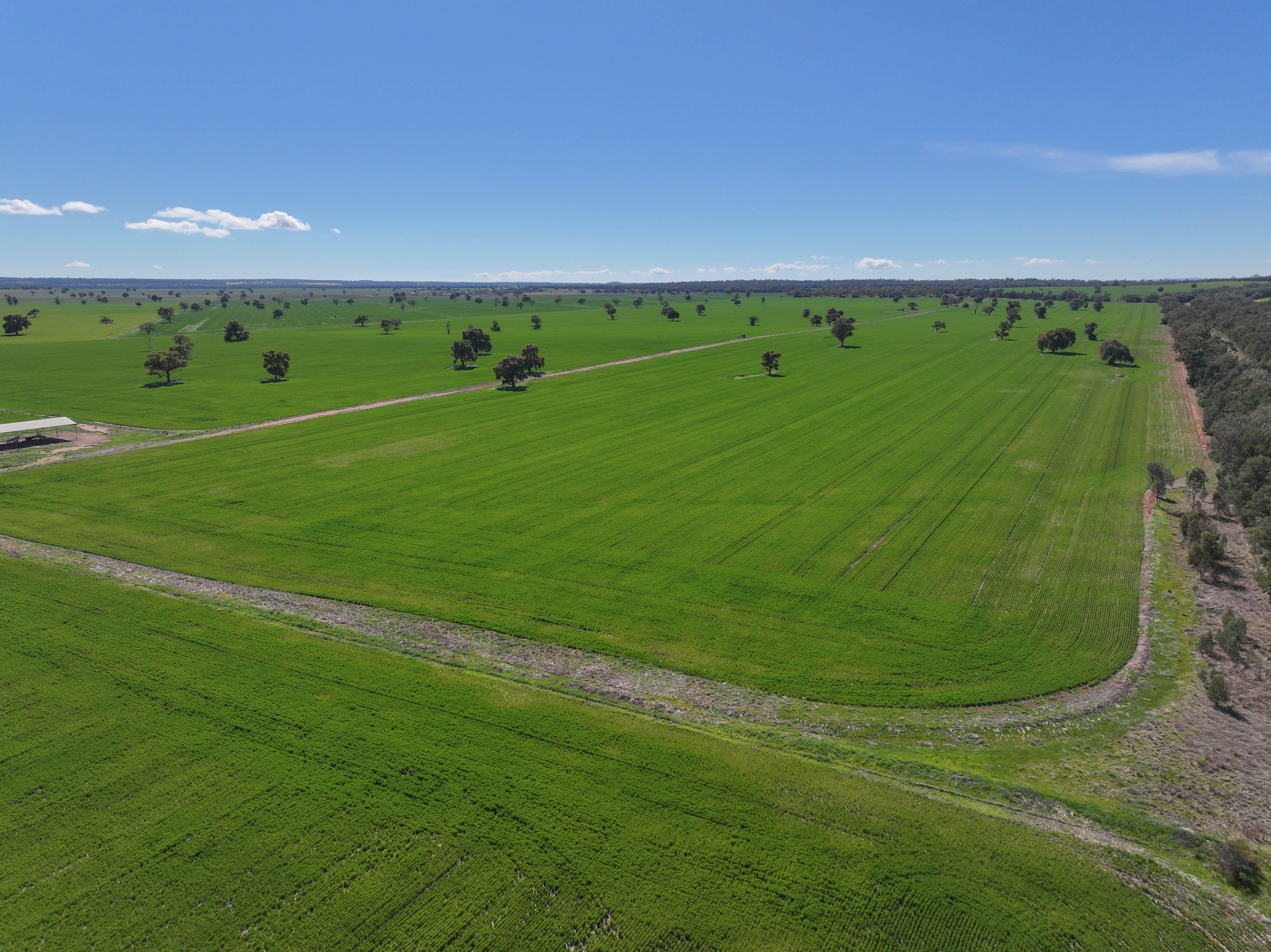 Mixed Farming Opportunity - 