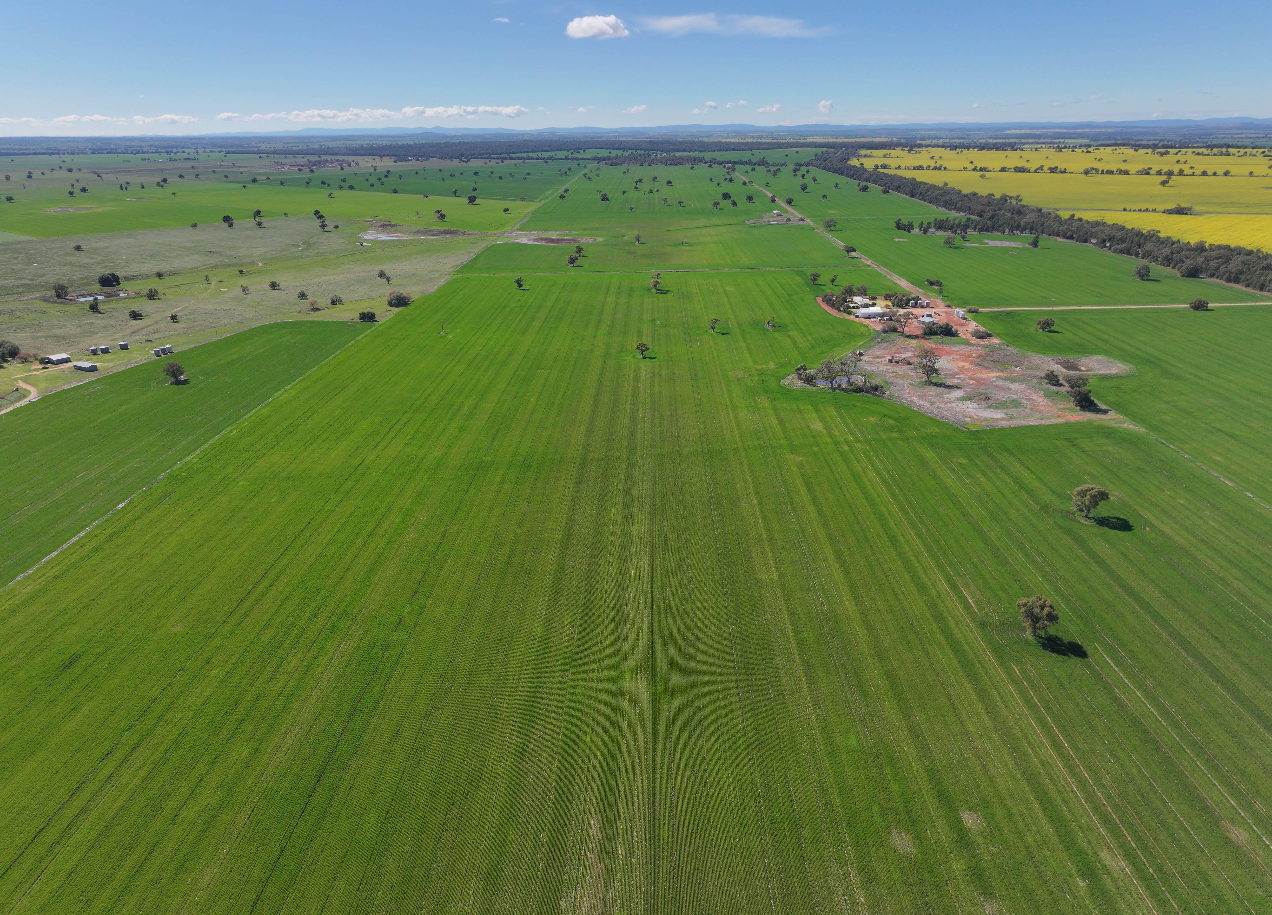 Mixed Farming Opportunity - 