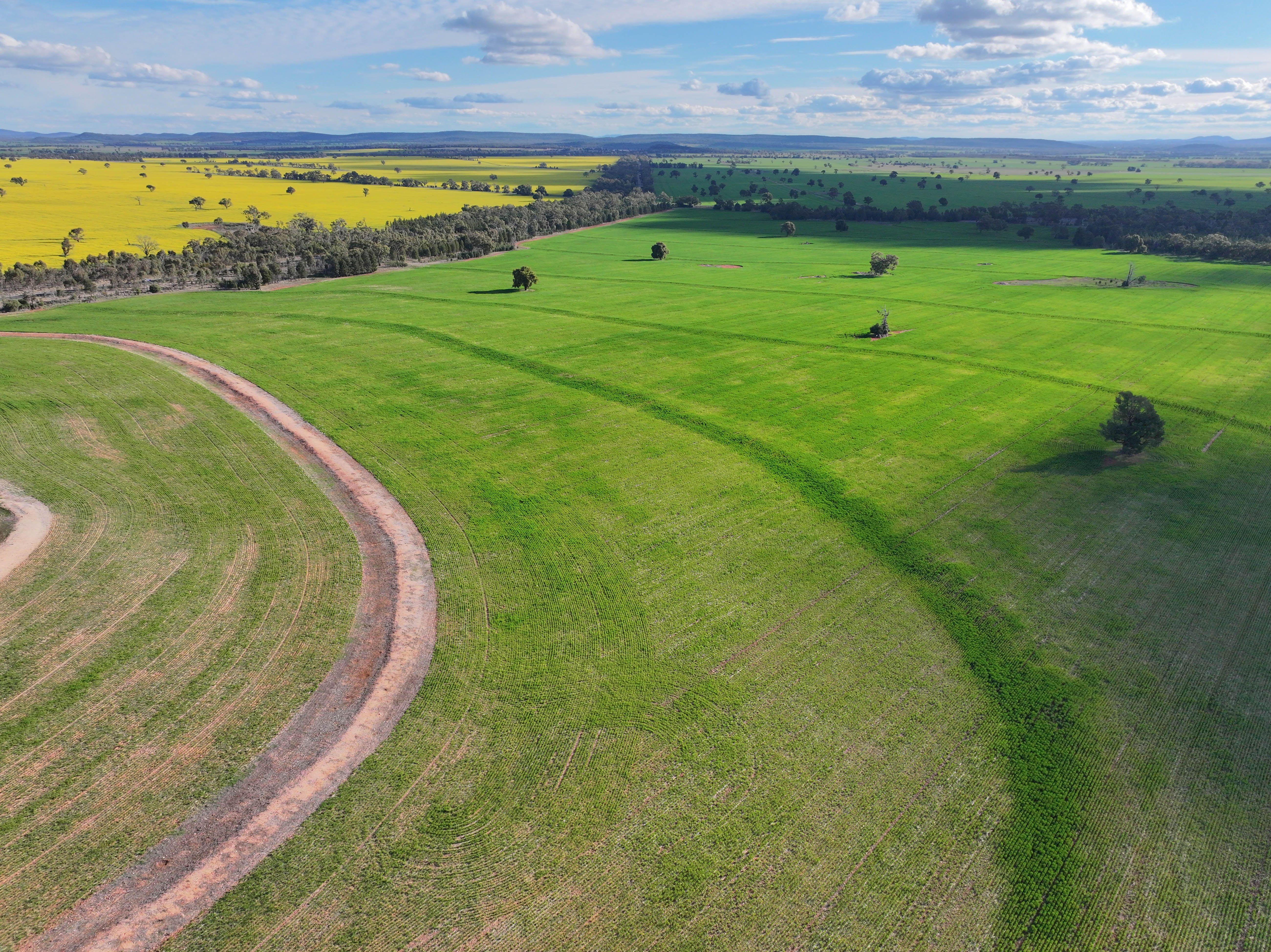 Mixed Farming Opportunity - 