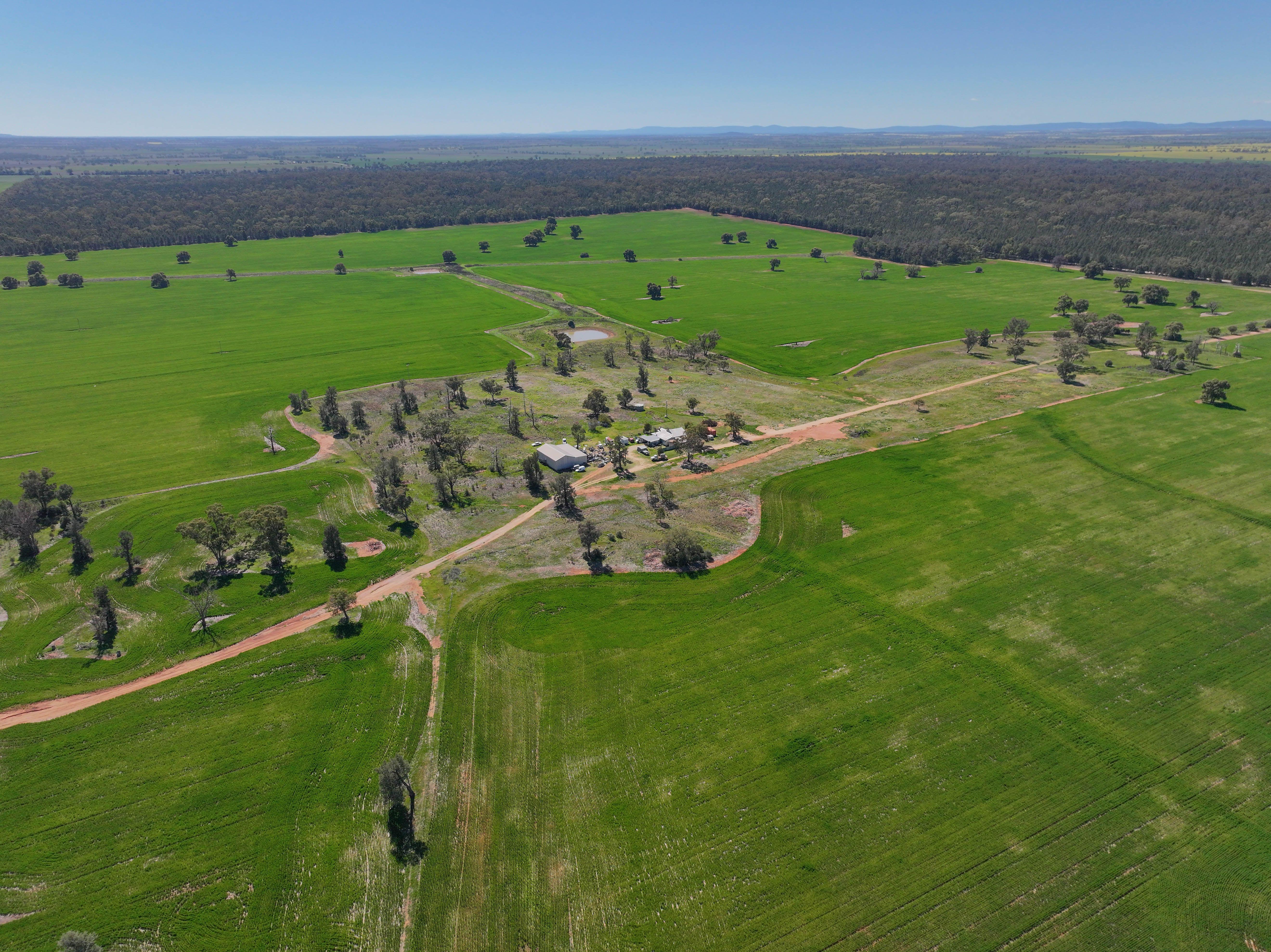 Mixed Farming Opportunity - 