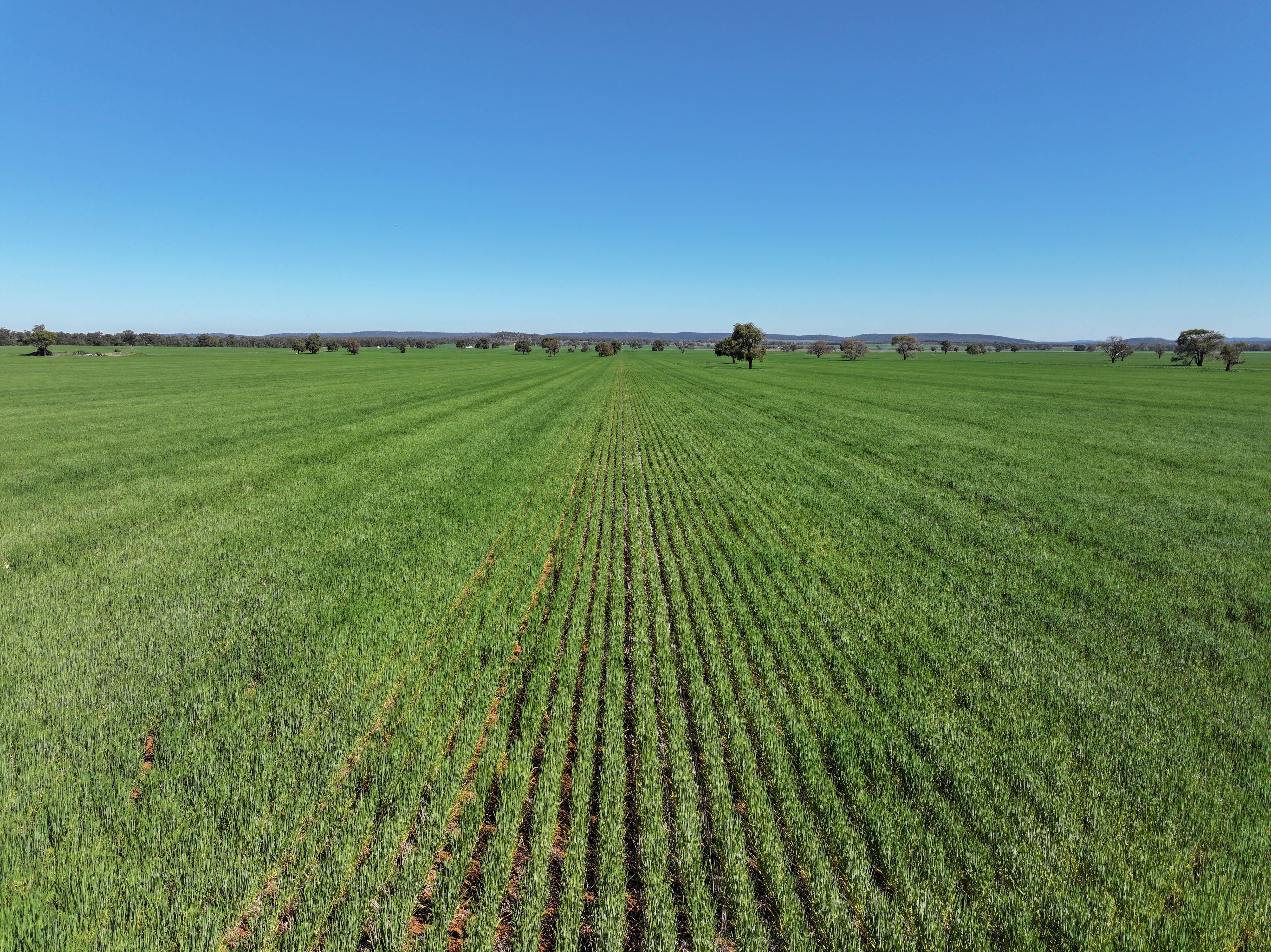 Mixed Farming Opportunity - 