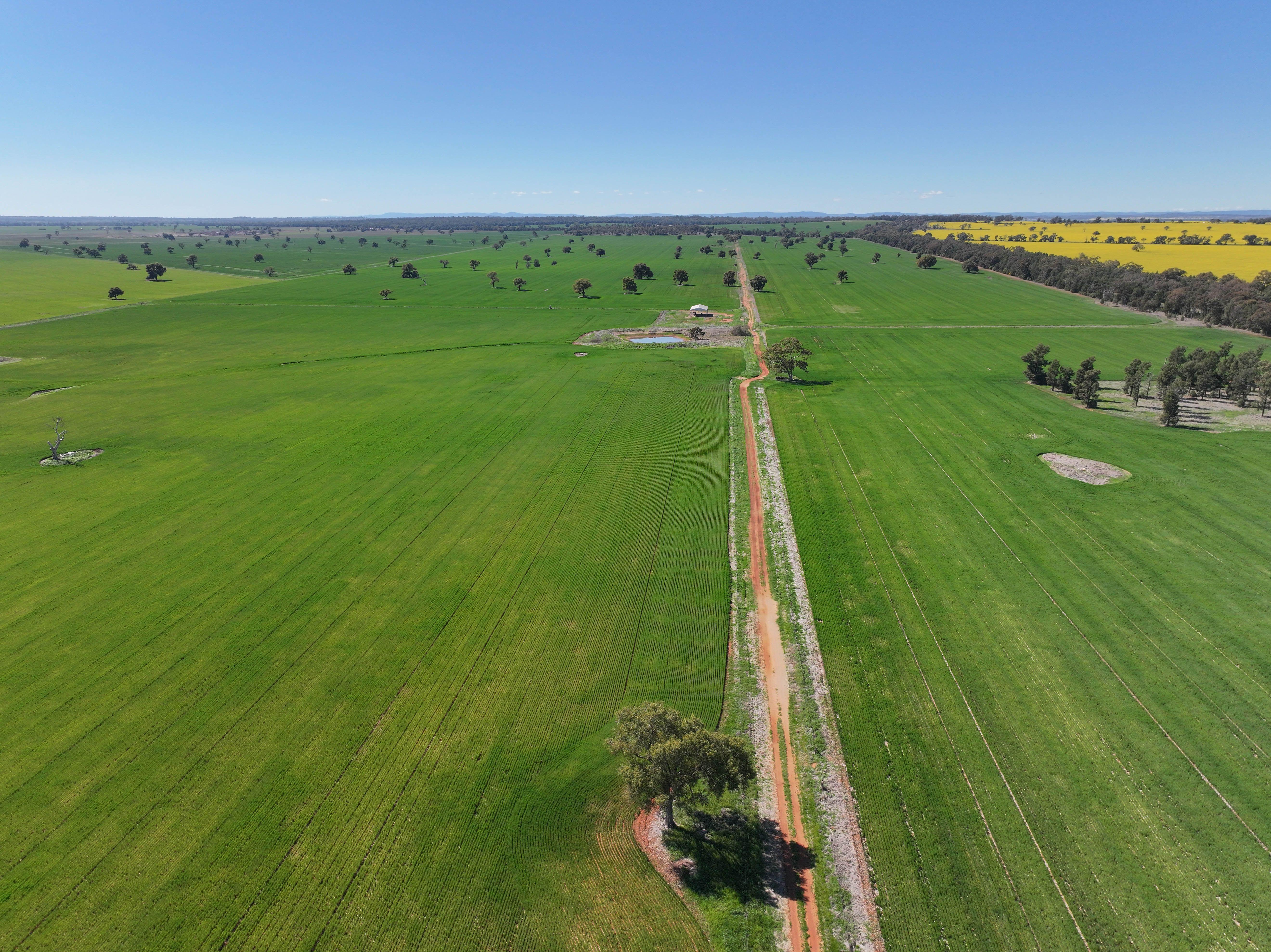 Mixed Farming Opportunity - 