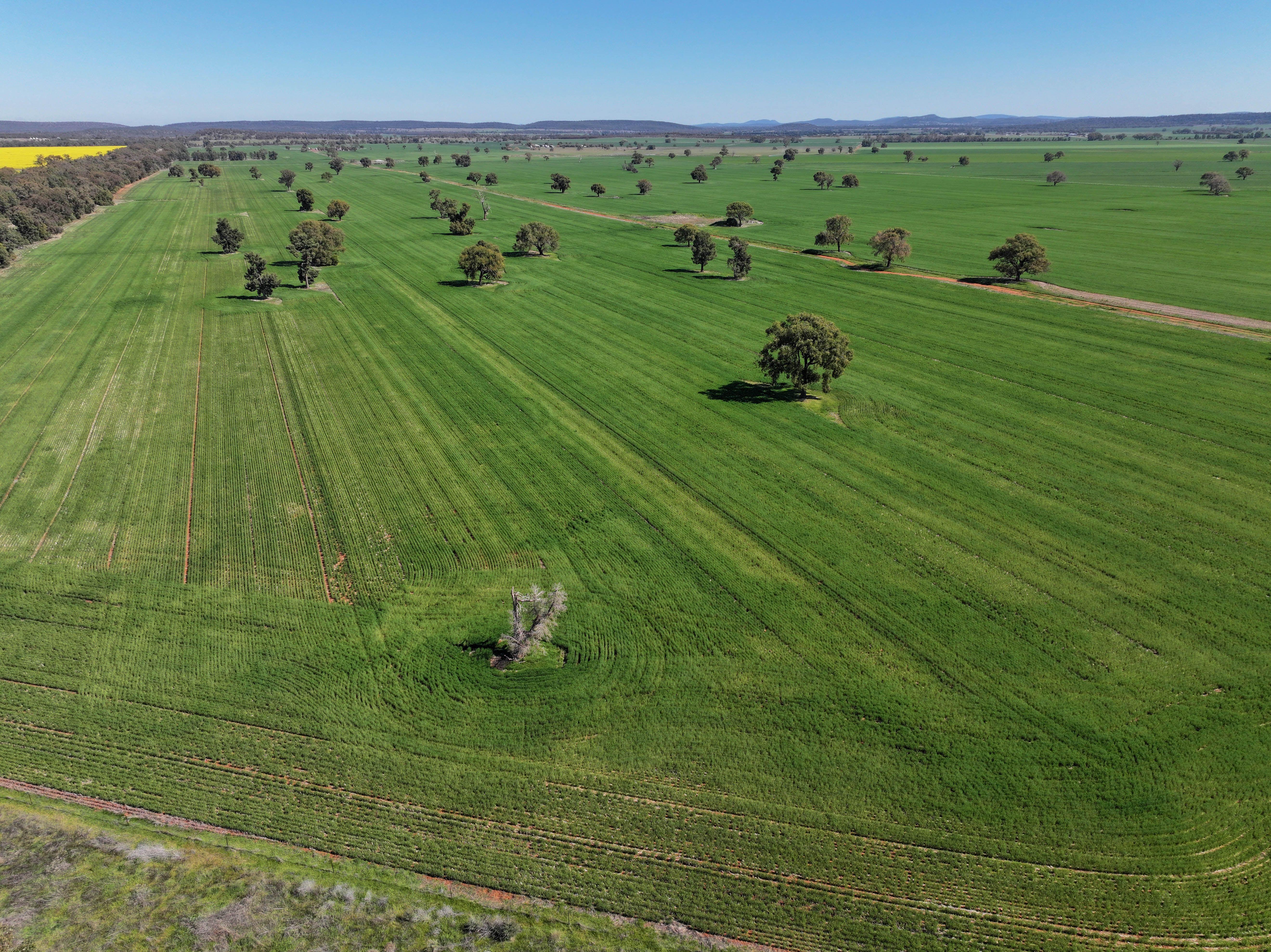 Mixed Farming Opportunity - 