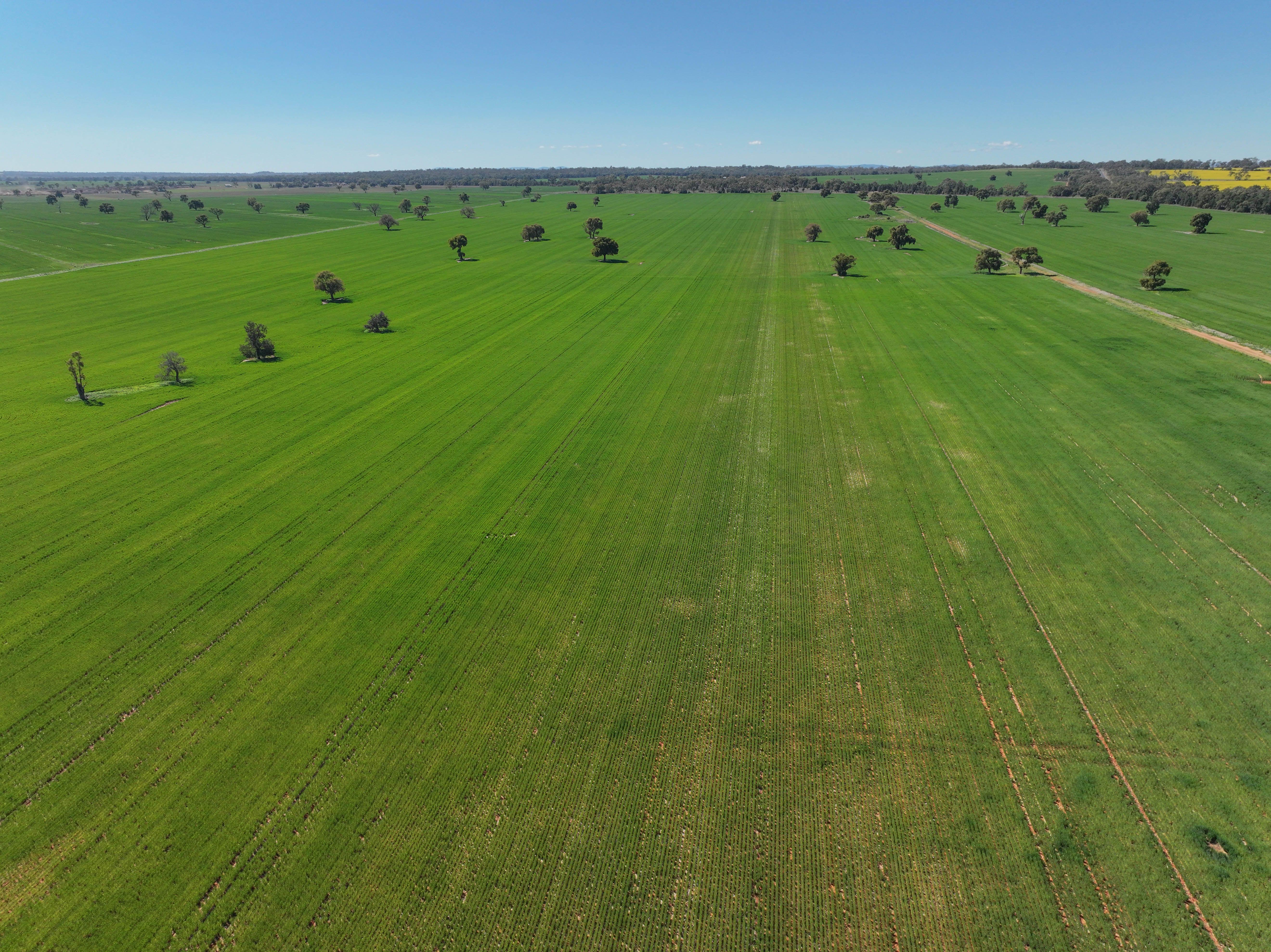 Mixed Farming Opportunity - 