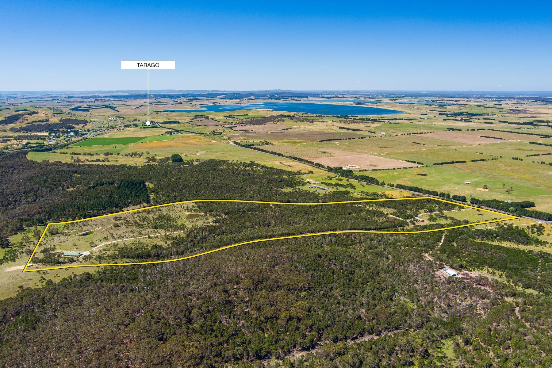 Prop-GPT: Lifestyle: NSW Tarago, NSW 2580 Rural