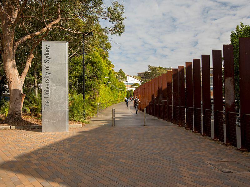 Studio for Rent: Darlington, NSW 2008, NSW, 2008