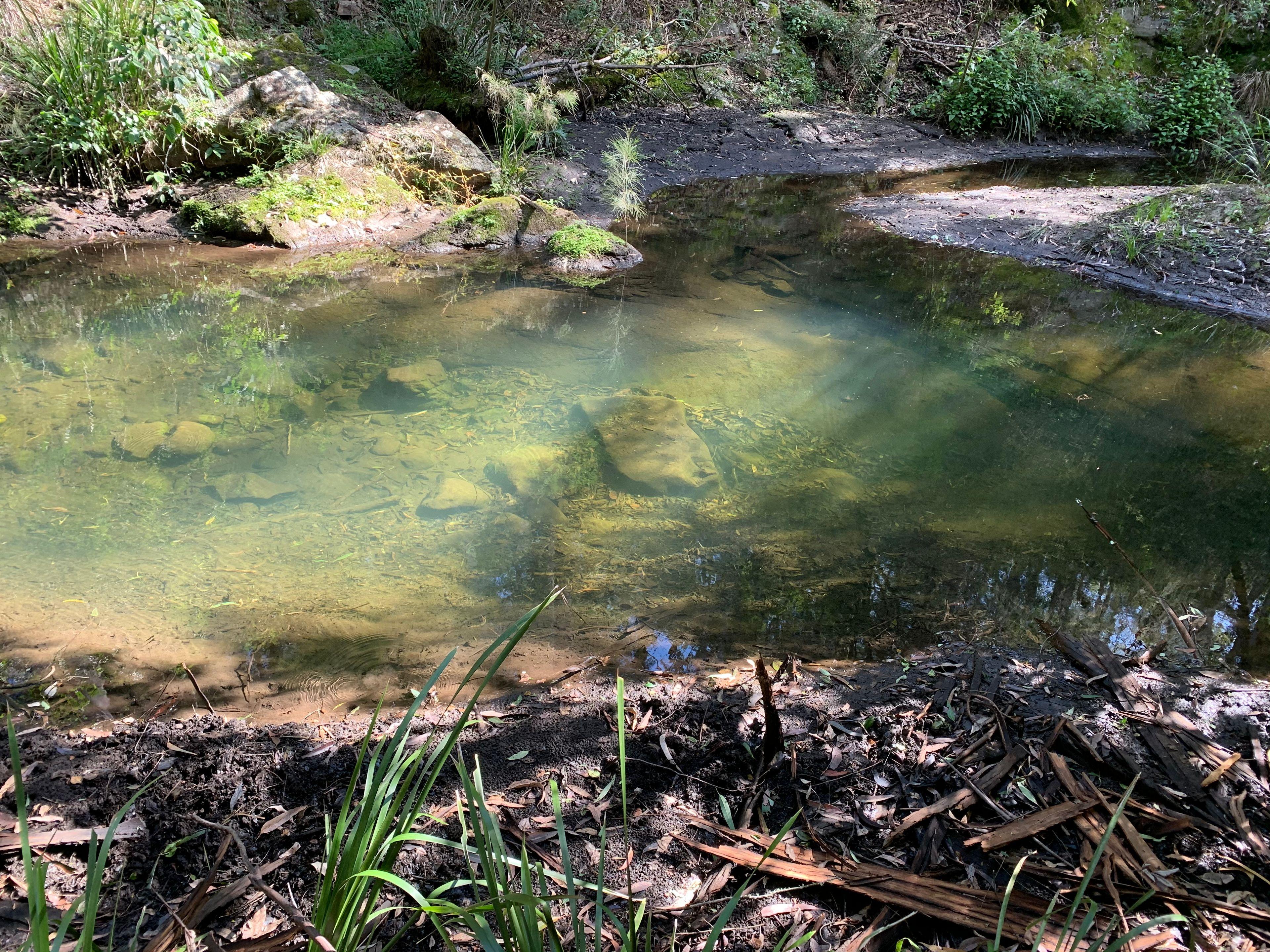 CARROWBROOK - With Your Own Creek Frontage
