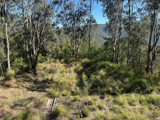 CARROWBROOK - With Your Own Creek Frontage