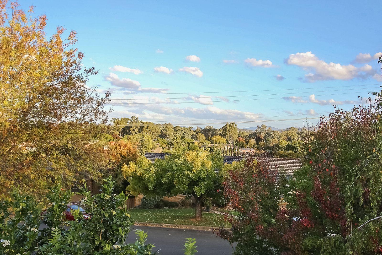 House for Rent: Lavington, NSW 2641, NSW, 2641