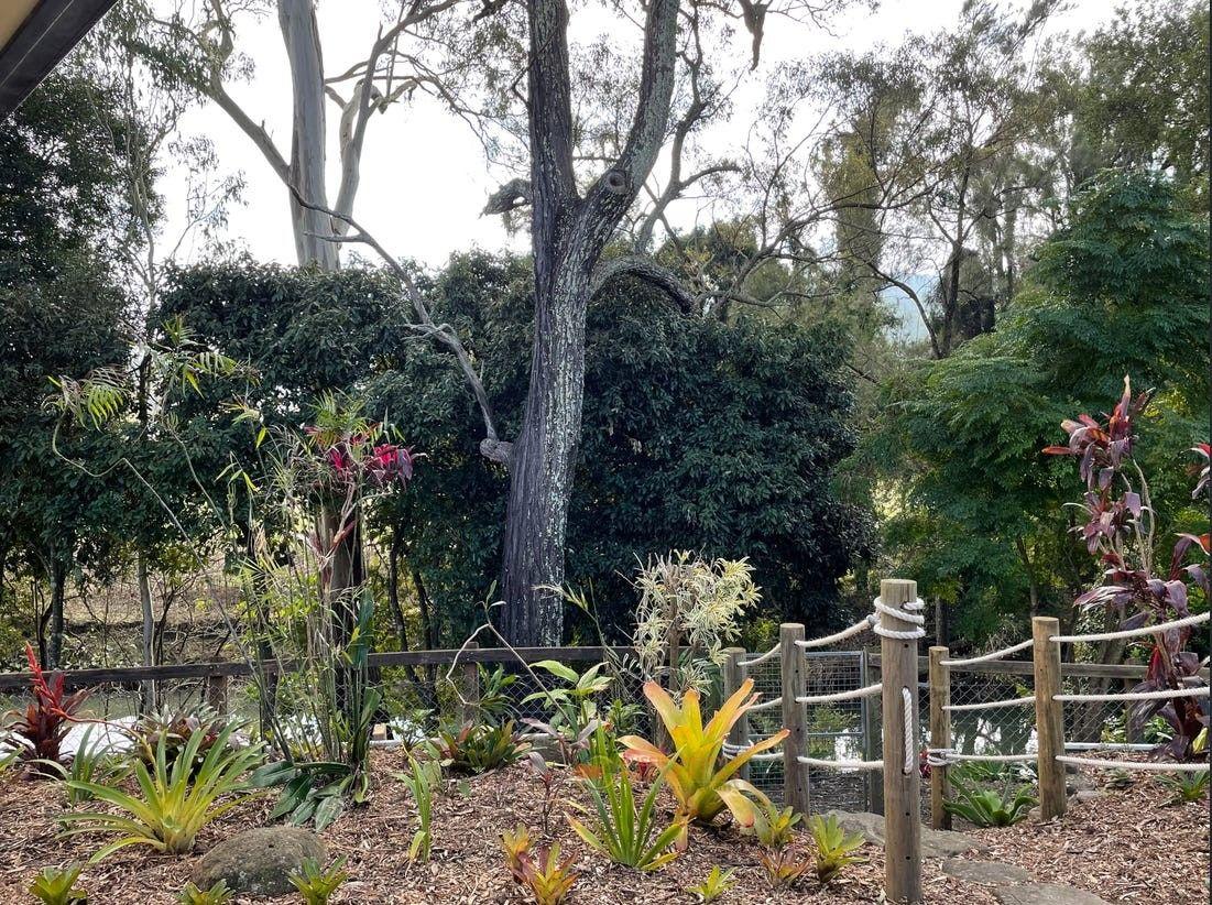 House for Rent: Canungra, QLD 4275, QLD, 4275