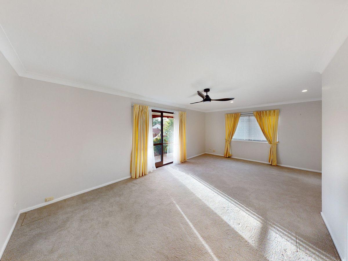 31 Sherry Street, Carseldine, QLD 4034 - harcourts.net