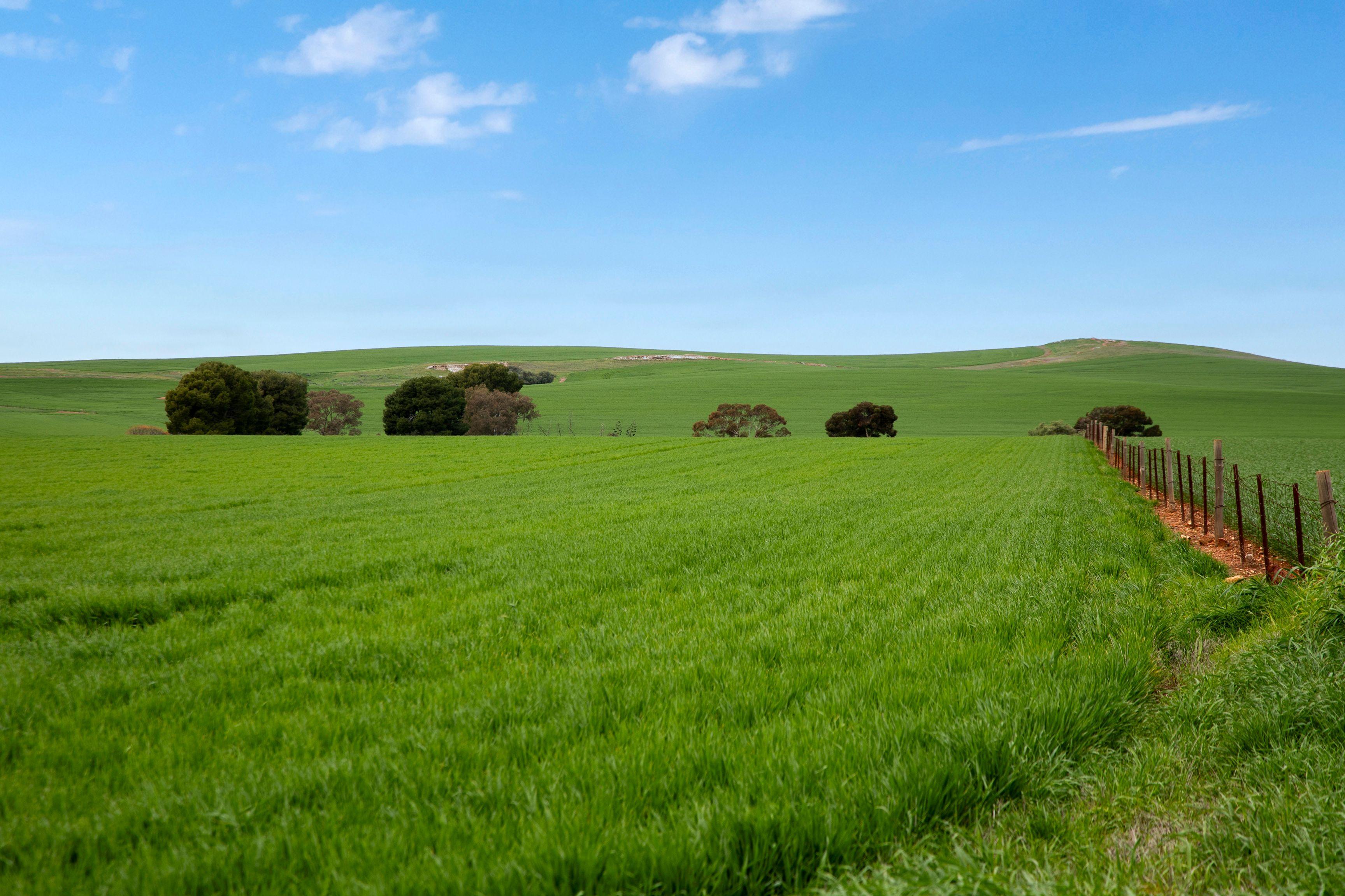 Prop-GPT: Cropping: SA Georgetown, SA 5472 Rural
