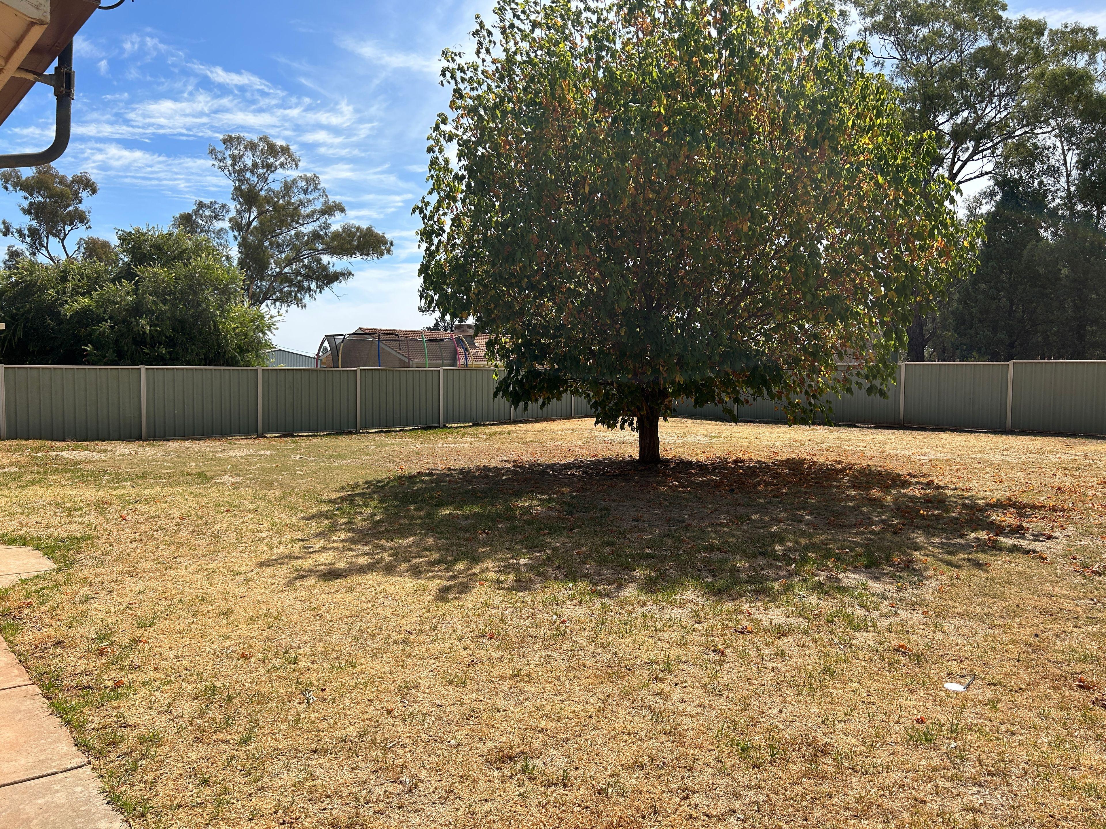 House for Rent: Coolamon, NSW 2701, NSW, 2701