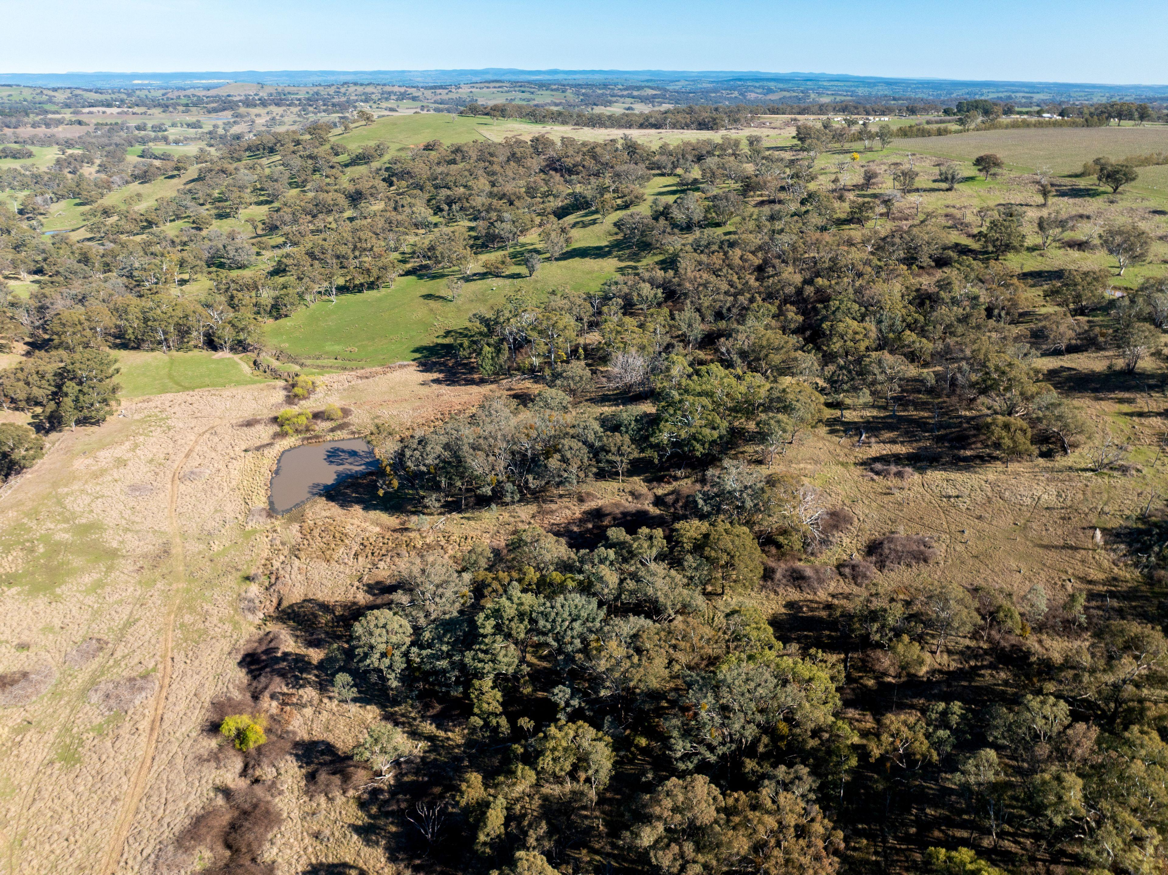 Productive Rural Holding with Panoramic Views