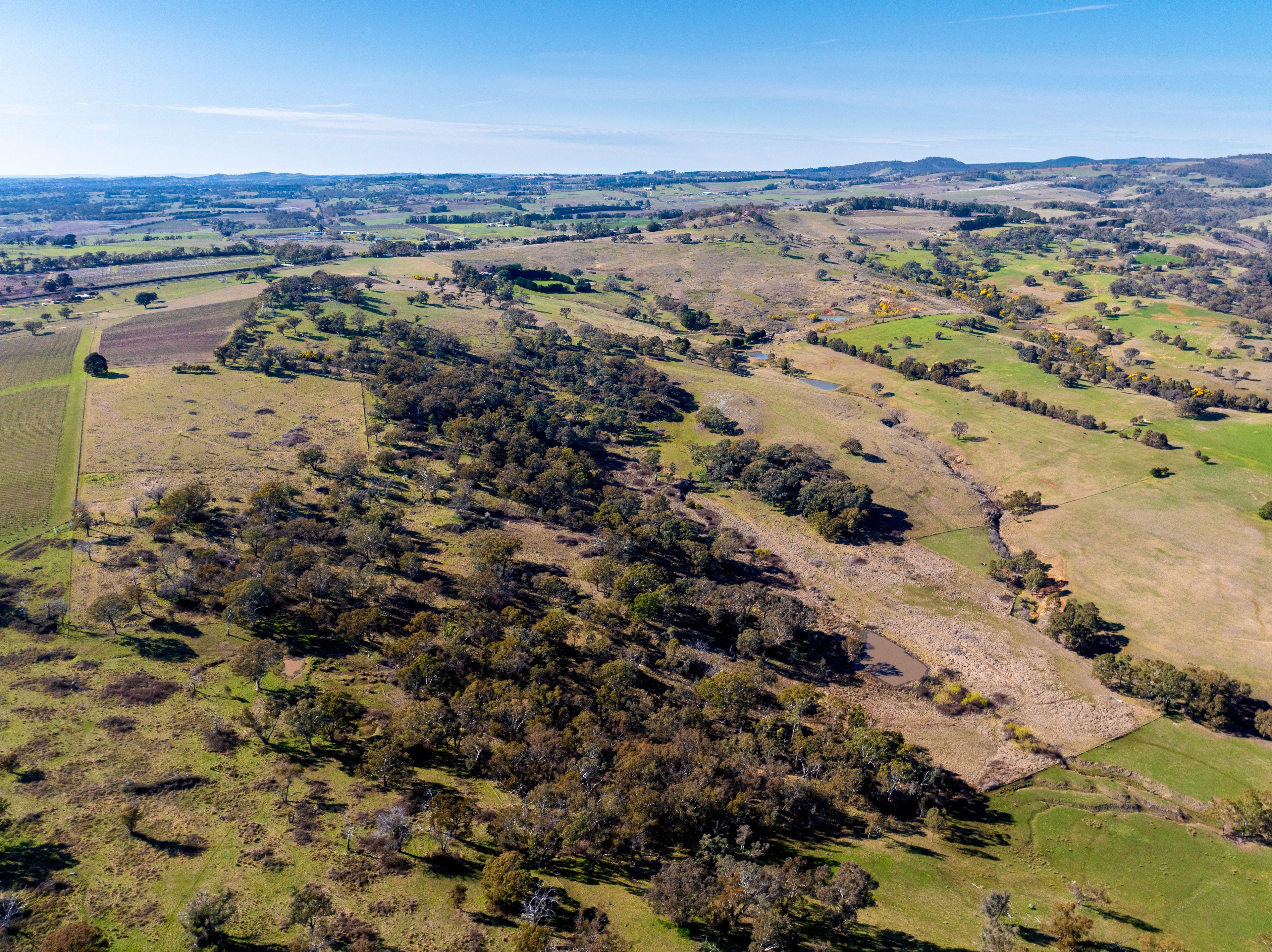 Productive Rural Holding with Panoramic Views