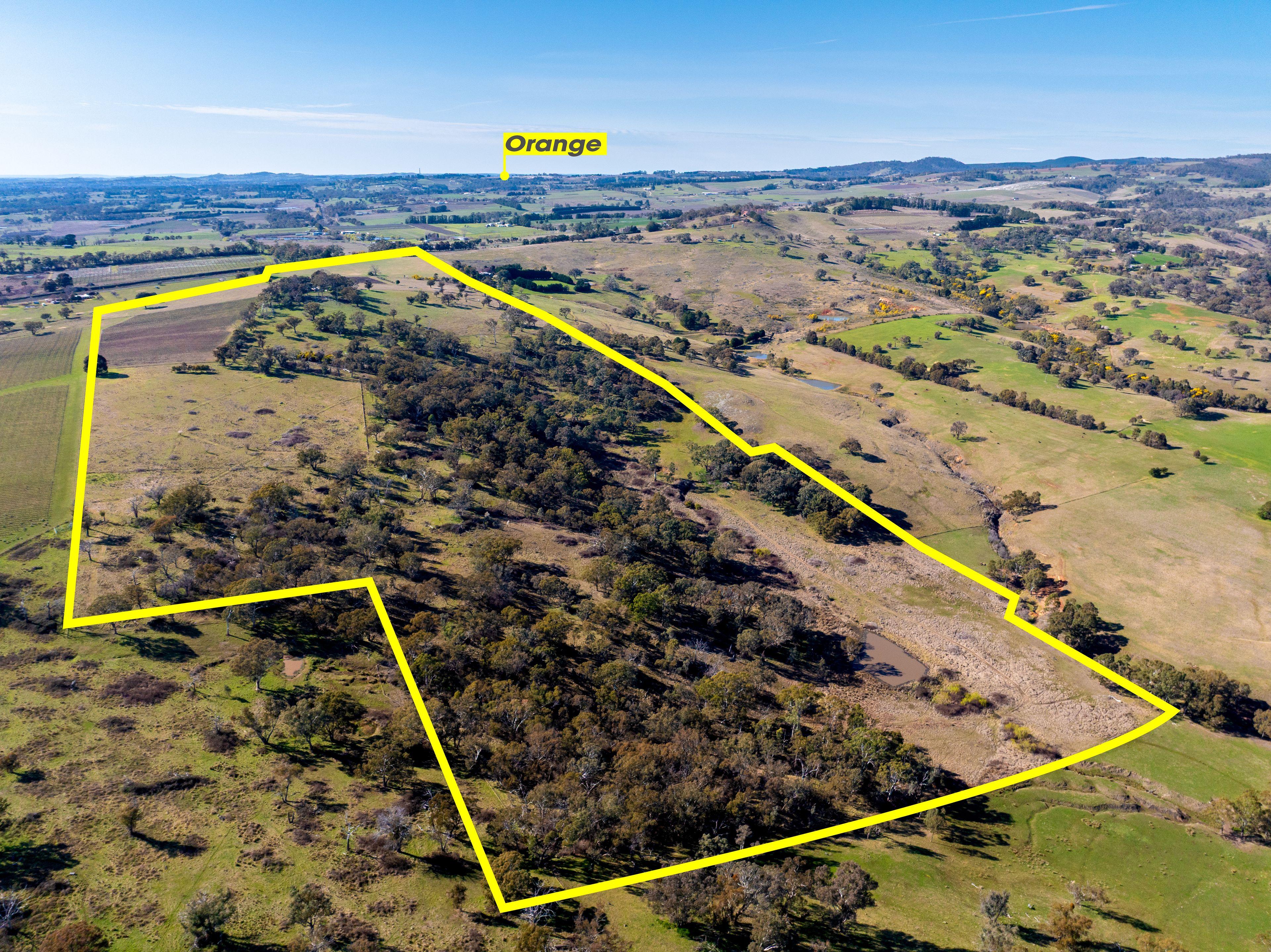 Productive Rural Holding with Panoramic Views