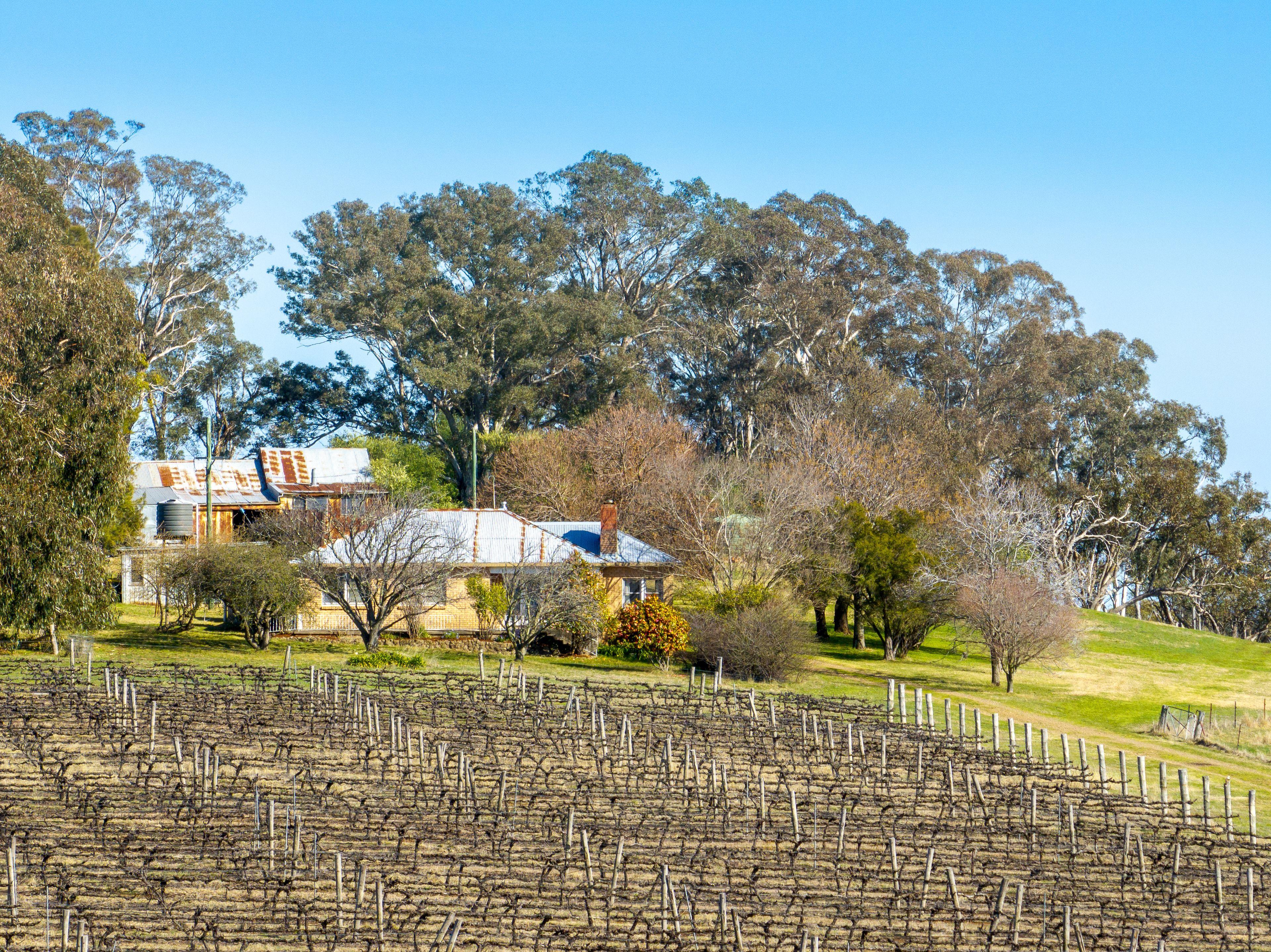 Productive Rural Holding with Panoramic Views
