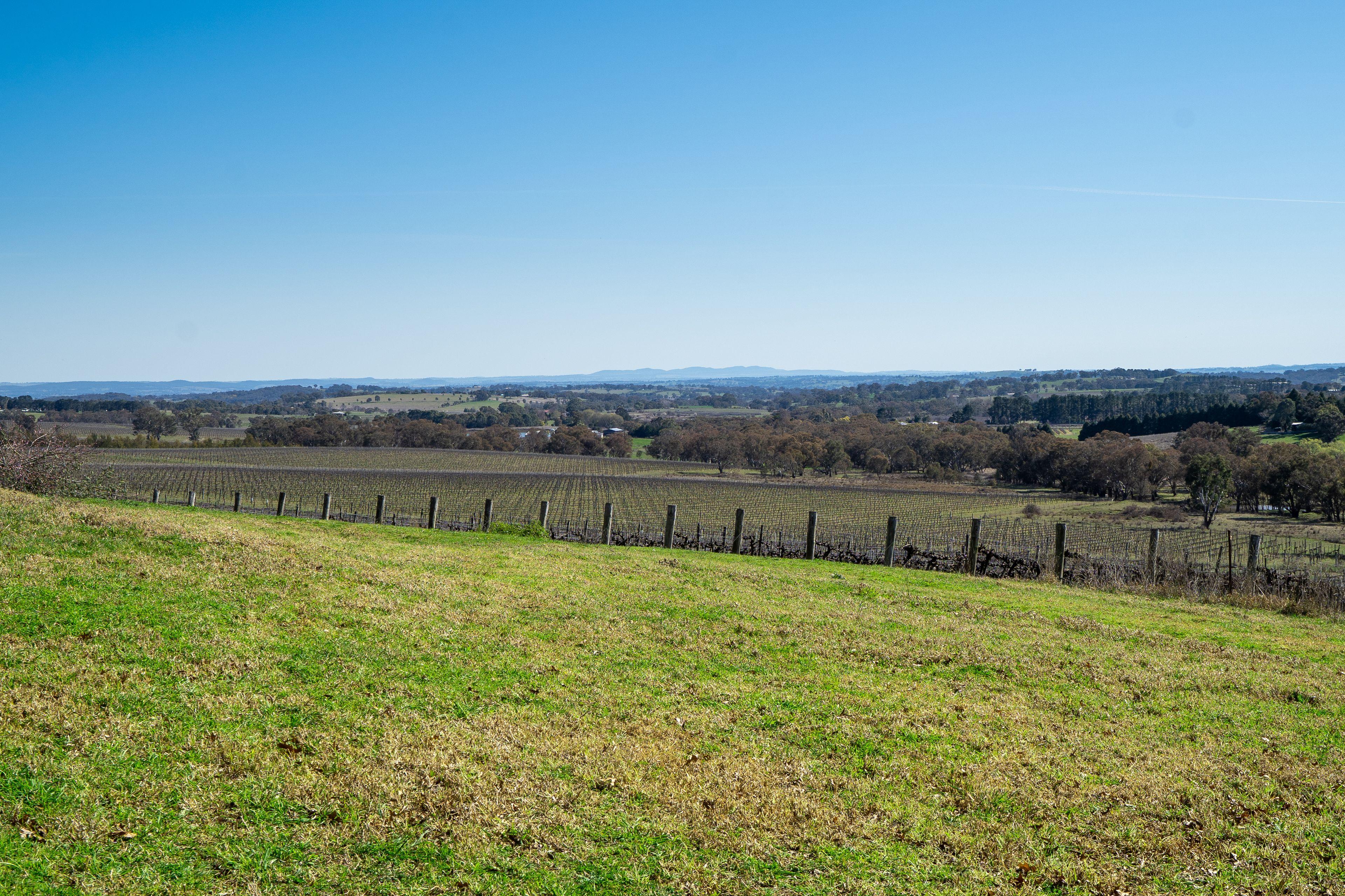 Productive Rural Holding with Panoramic Views