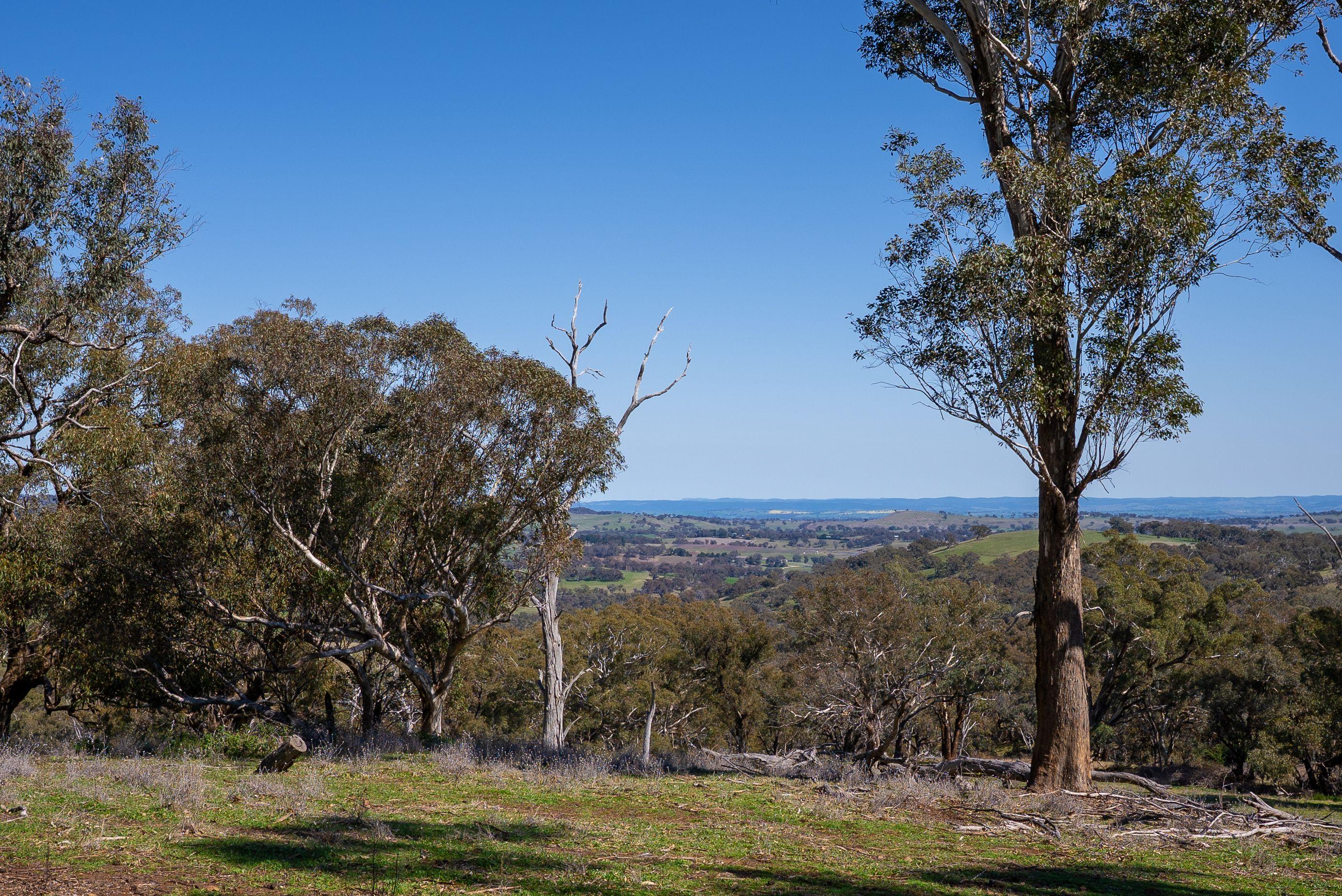 Productive Rural Holding with Panoramic Views