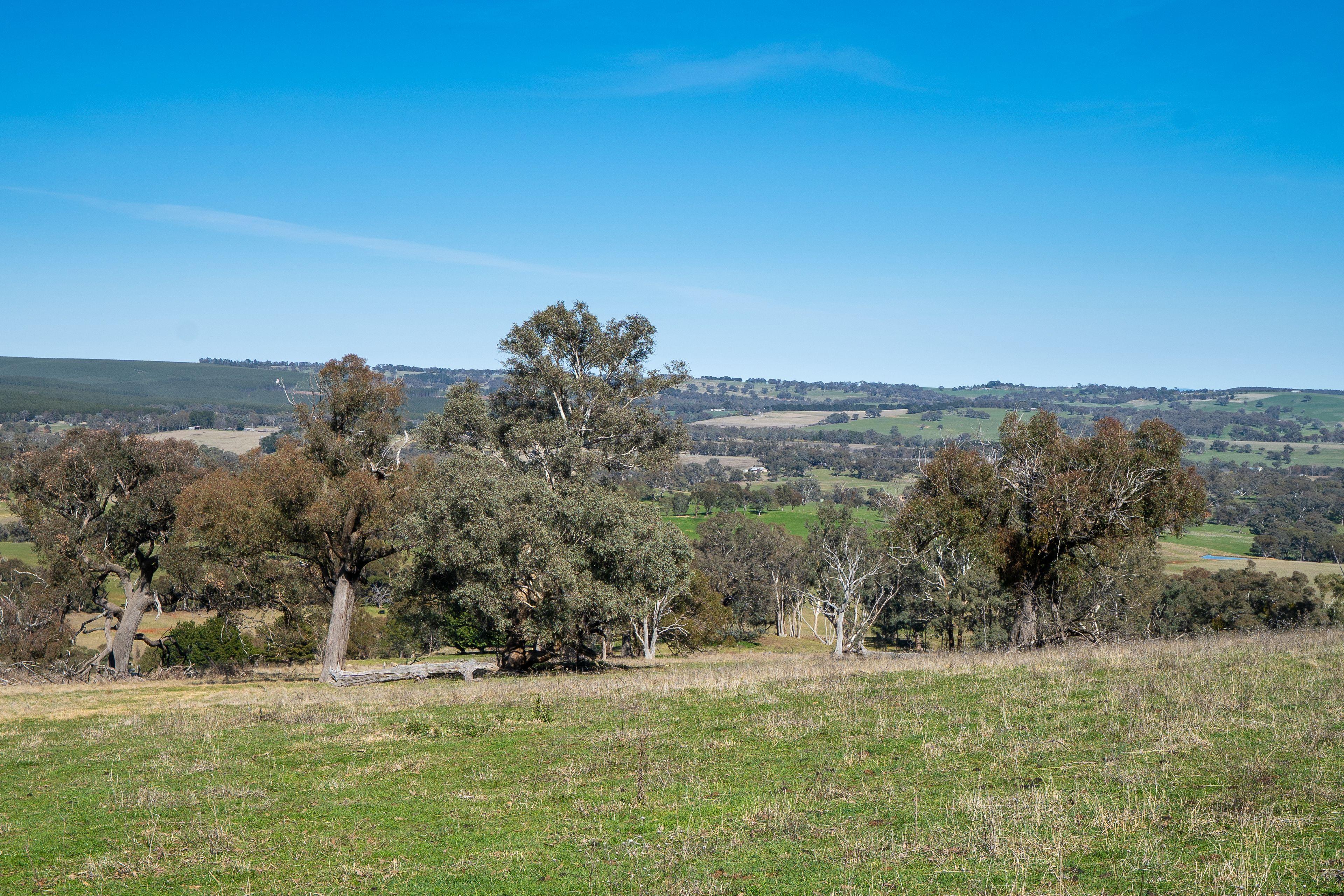 Productive Rural Holding with Panoramic Views