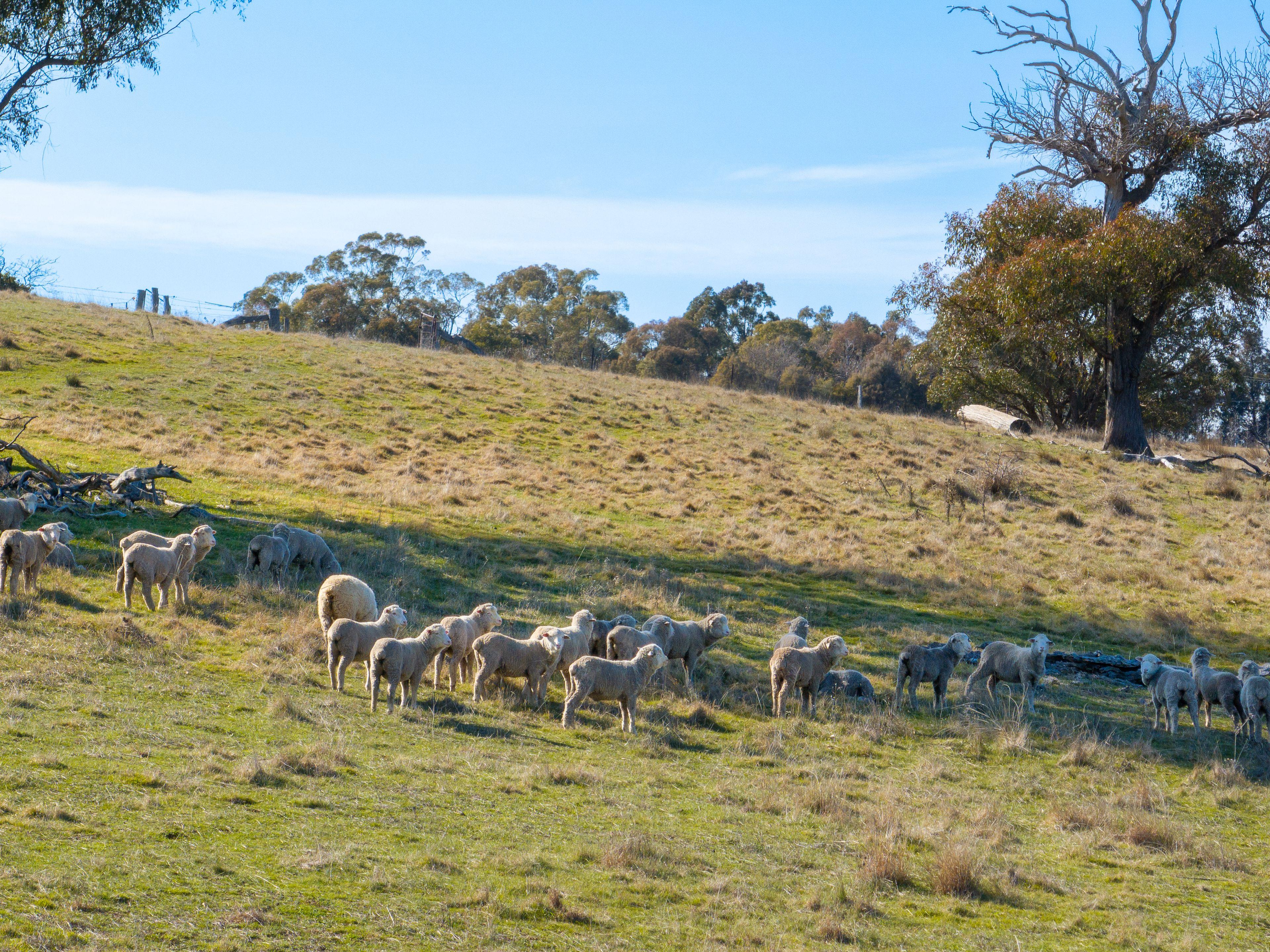 Productive Rural Holding with Panoramic Views