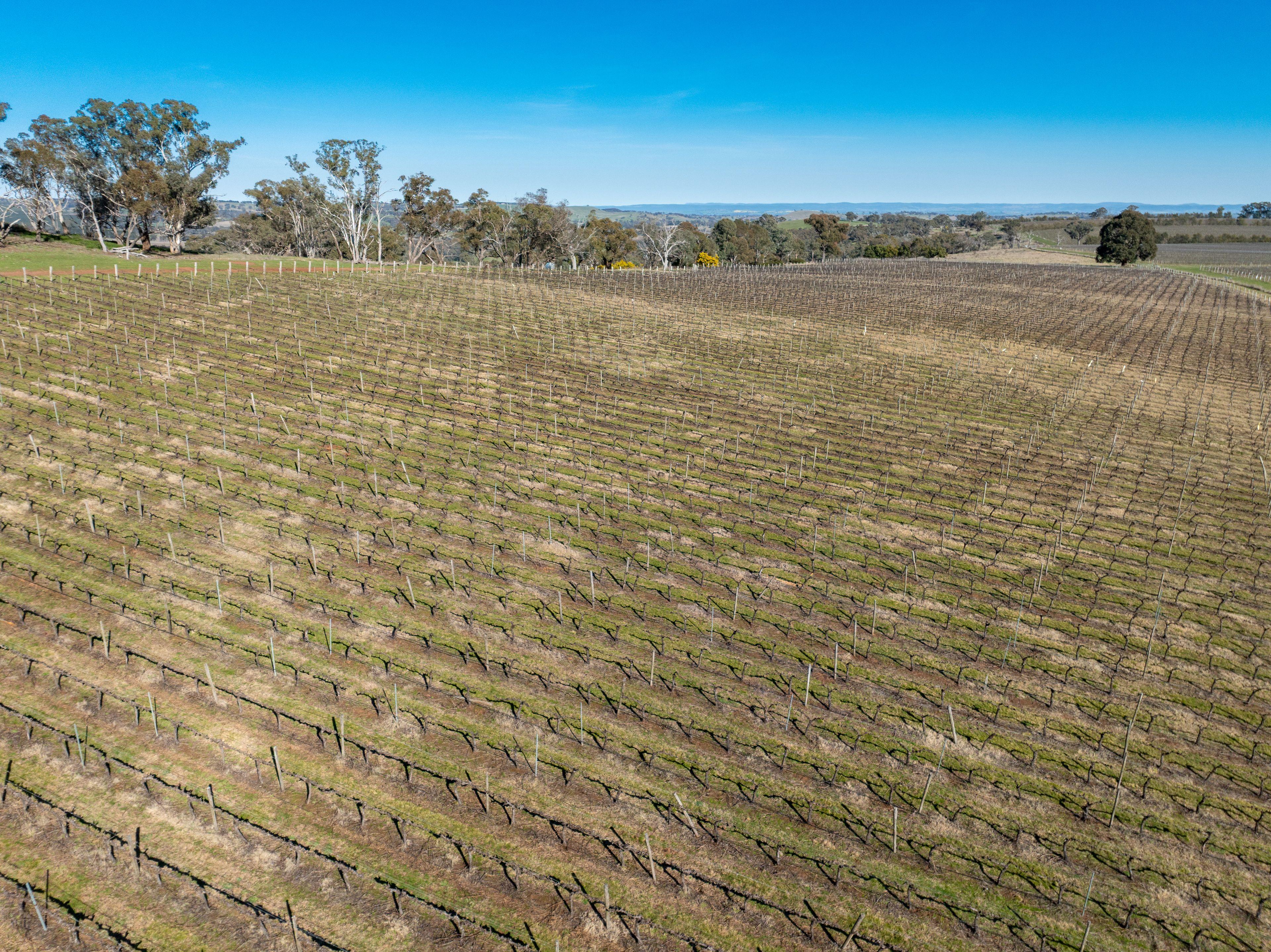 Productive Rural Holding with Panoramic Views
