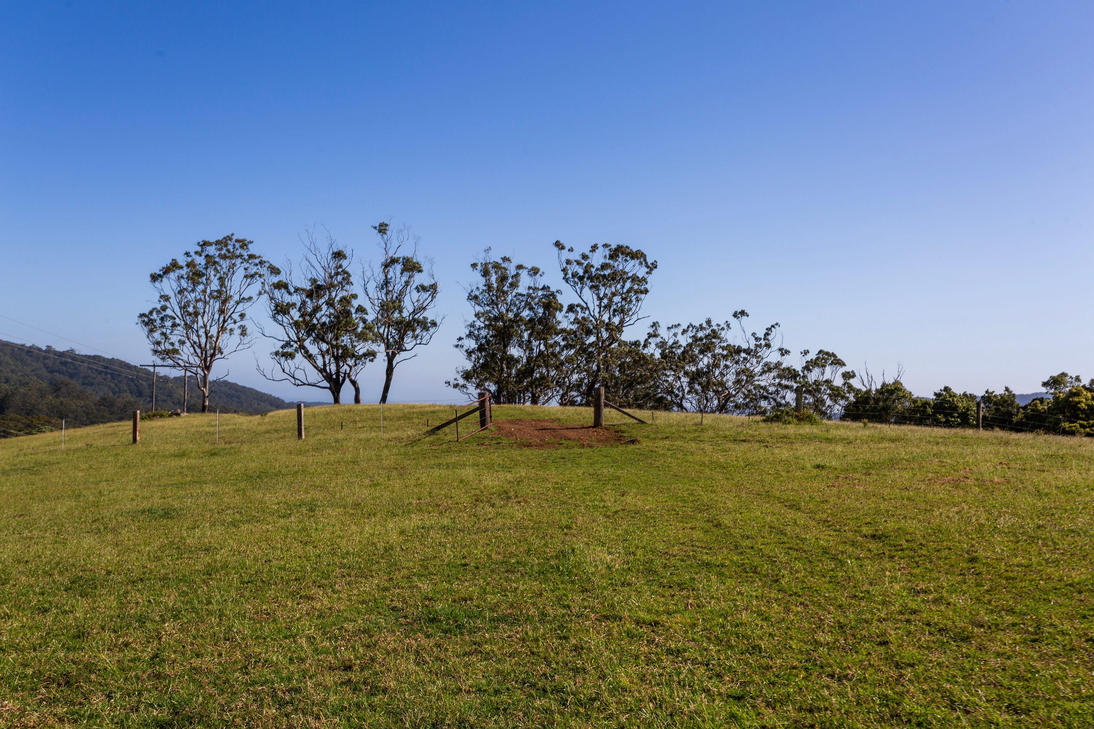 'Jindara' - Stunning Lifestyle Property in Foxground