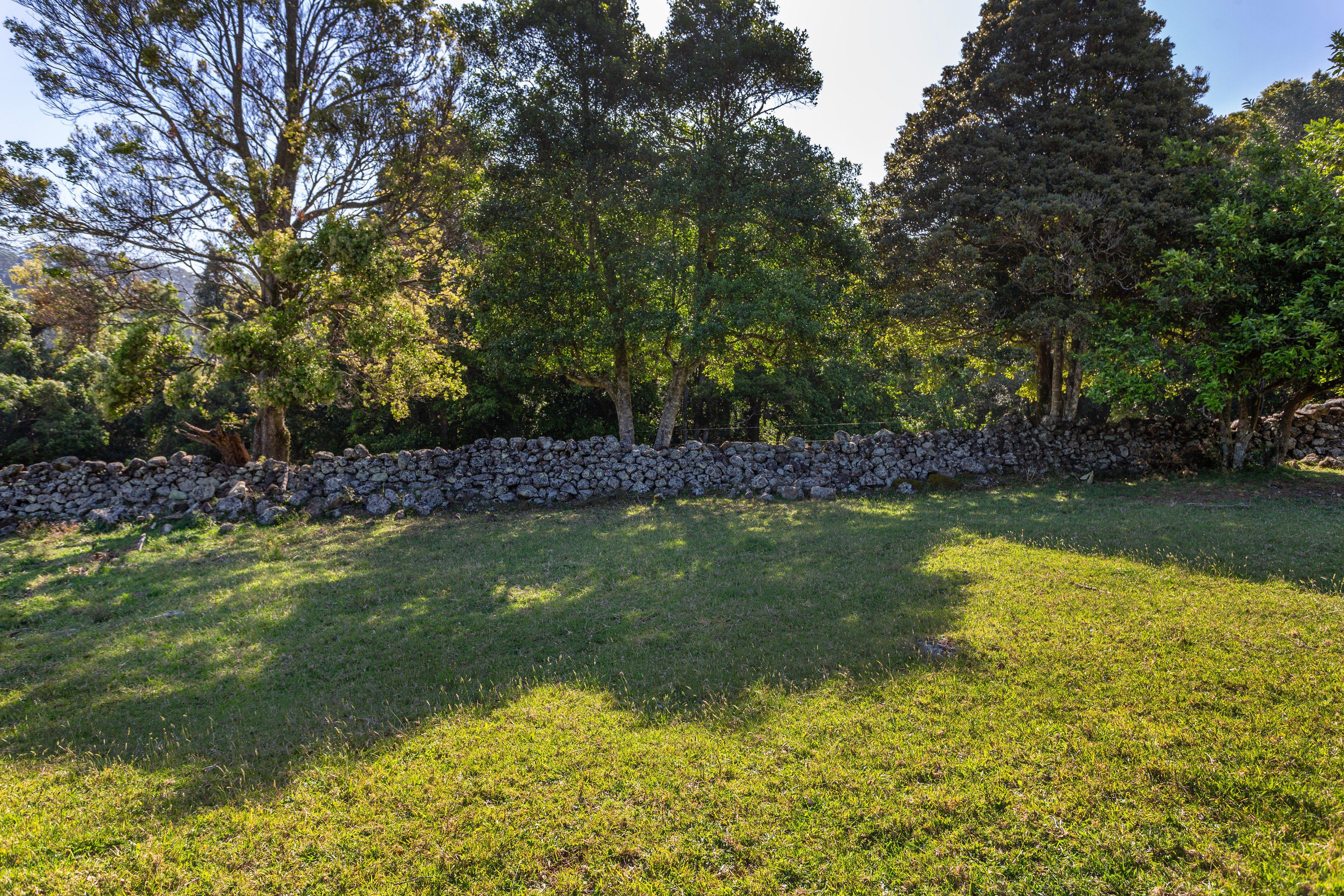 'Jindara' - Stunning Lifestyle Property in Foxground