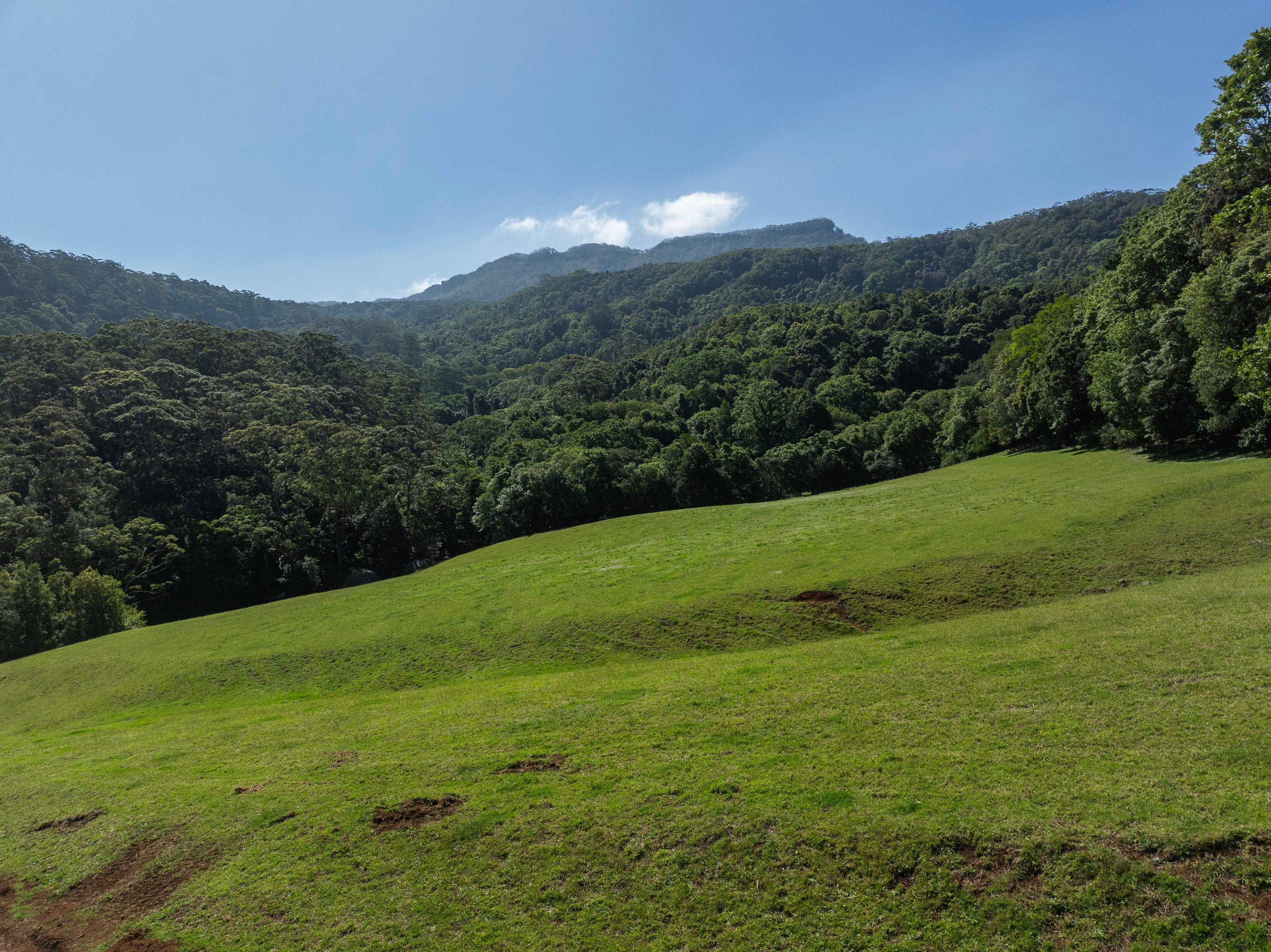 'Jindara' - Stunning Lifestyle Property in Foxground