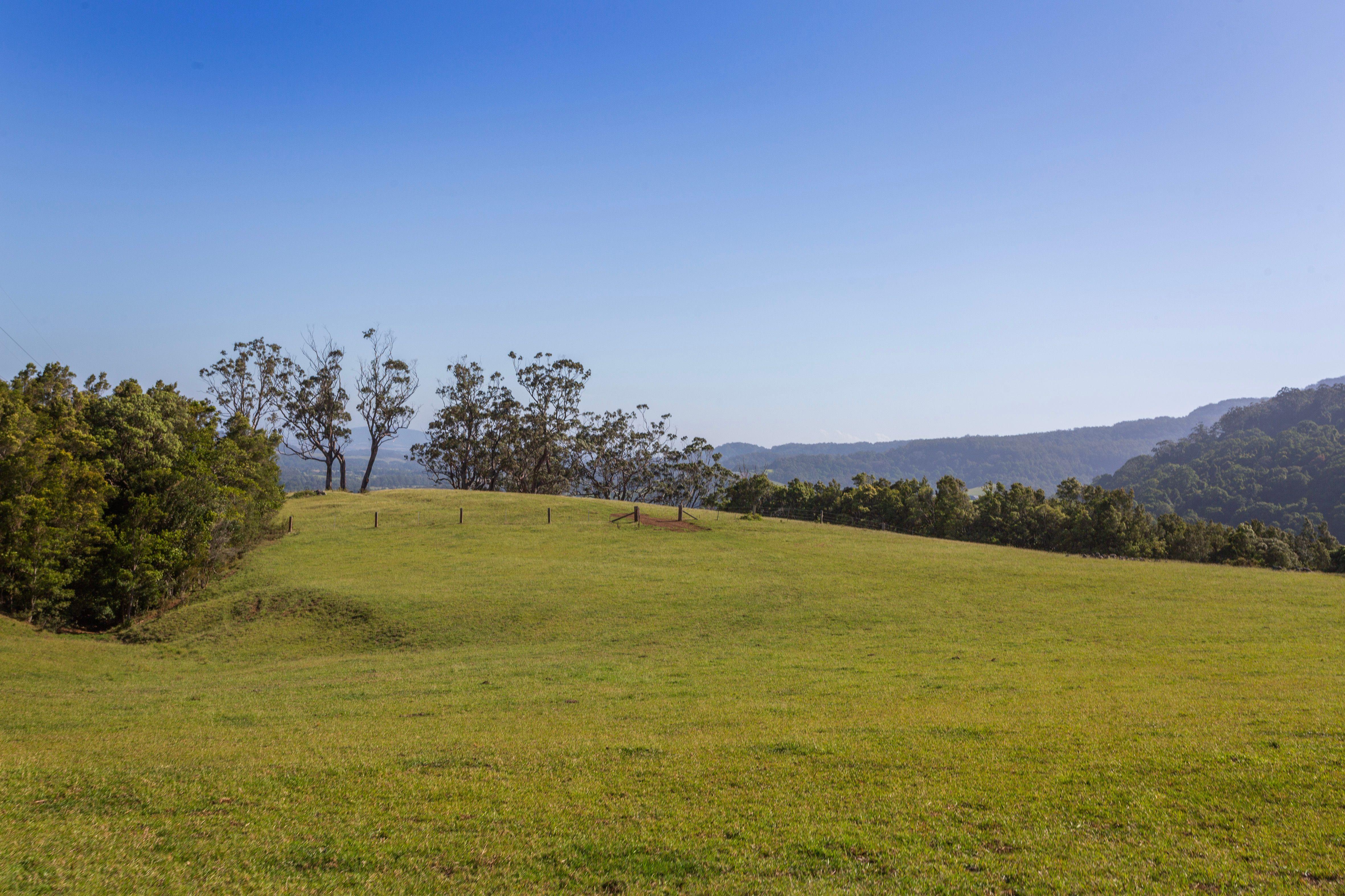 'Jindara' - Stunning Lifestyle Property in Foxground