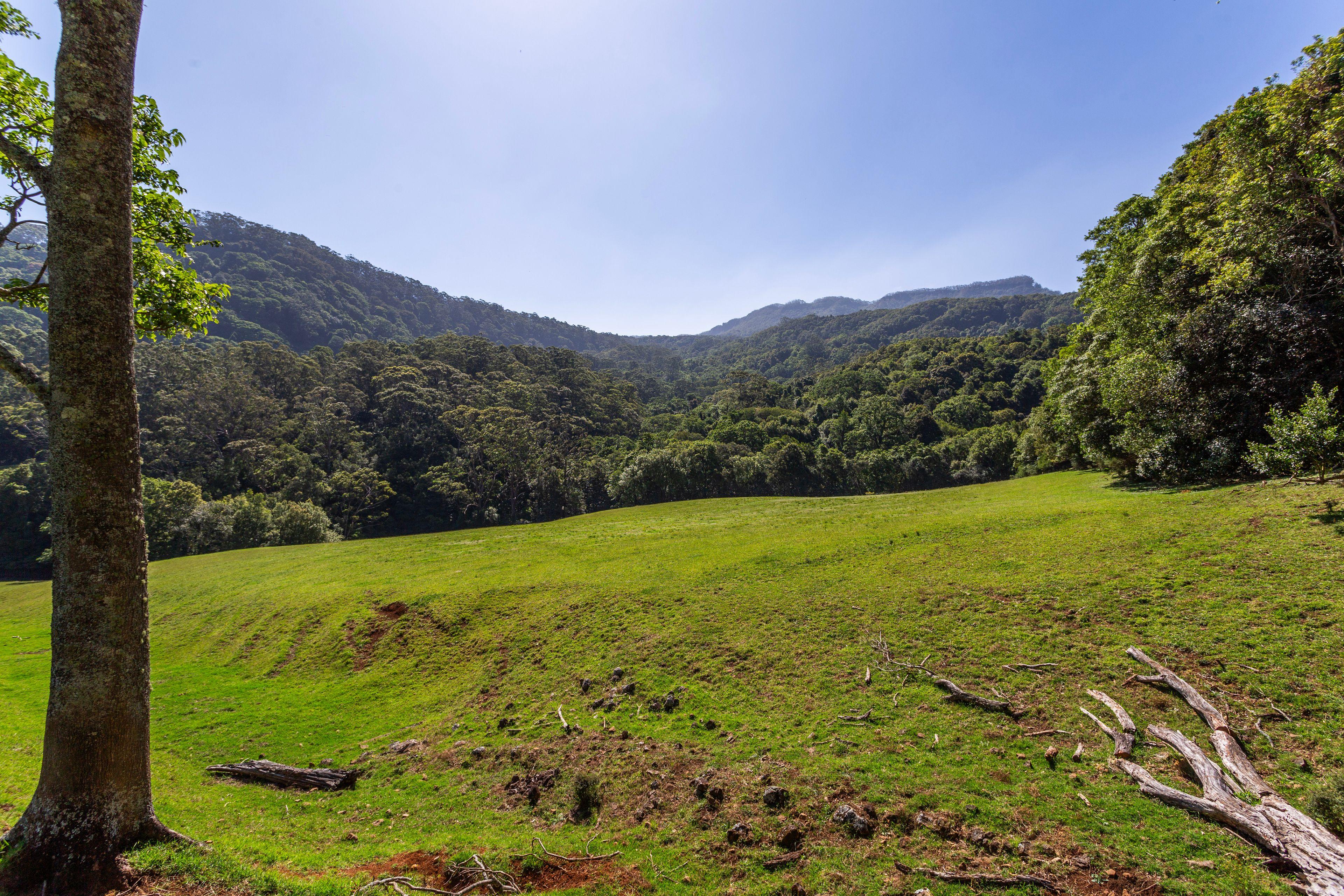 'Jindara' - Stunning Lifestyle Property in Foxground