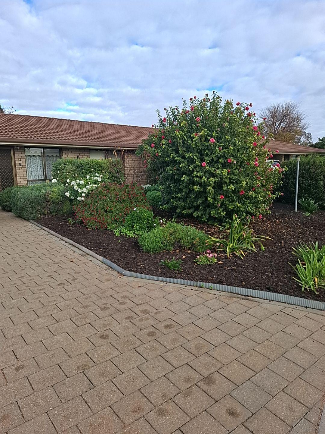 Prop-GPT: House: SA Loxton, SA 5333 Home For Rent