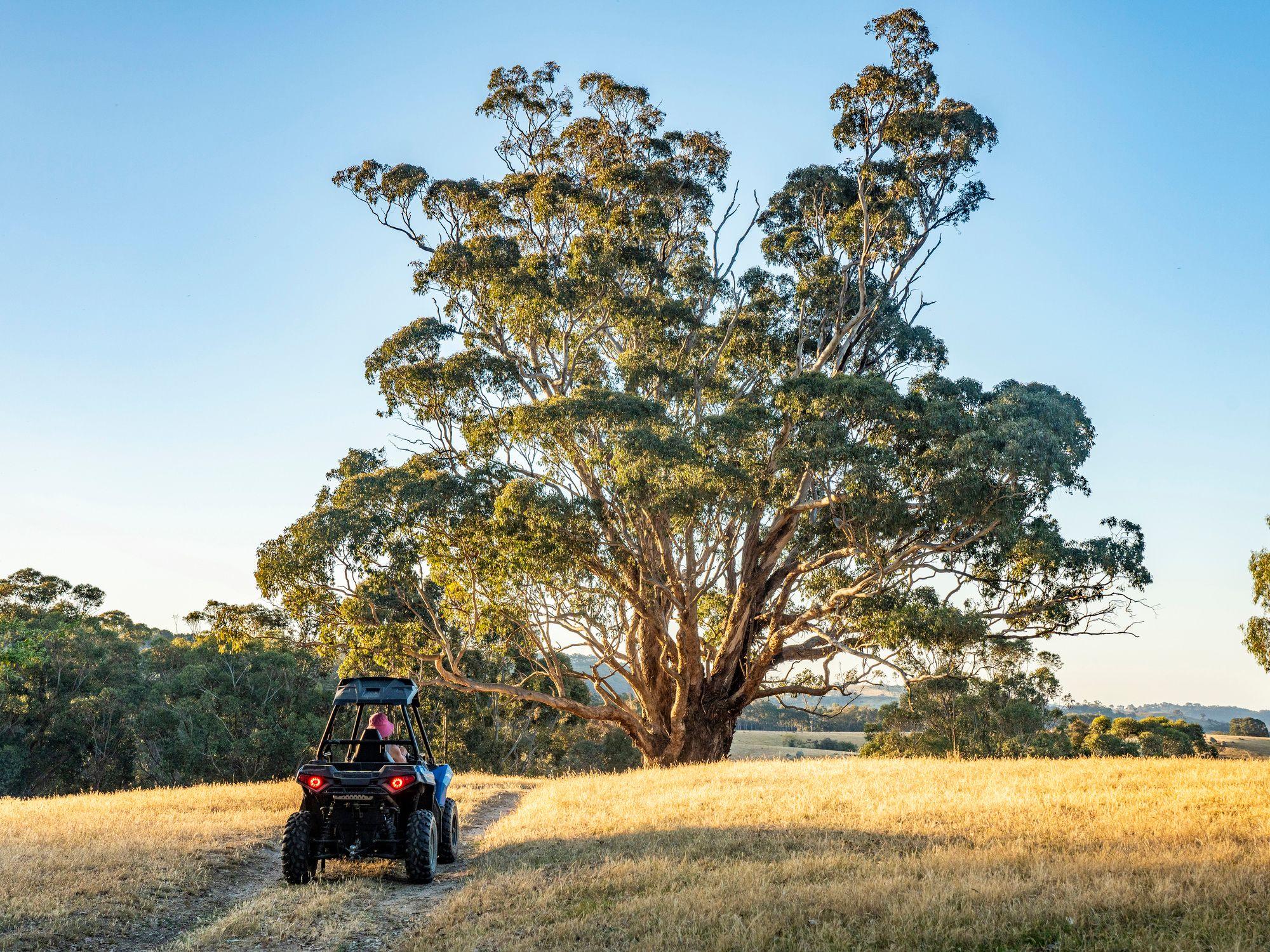 Prop-GPT: Mixed Farming: VIC Creightons Creek, VIC 3666 Rural