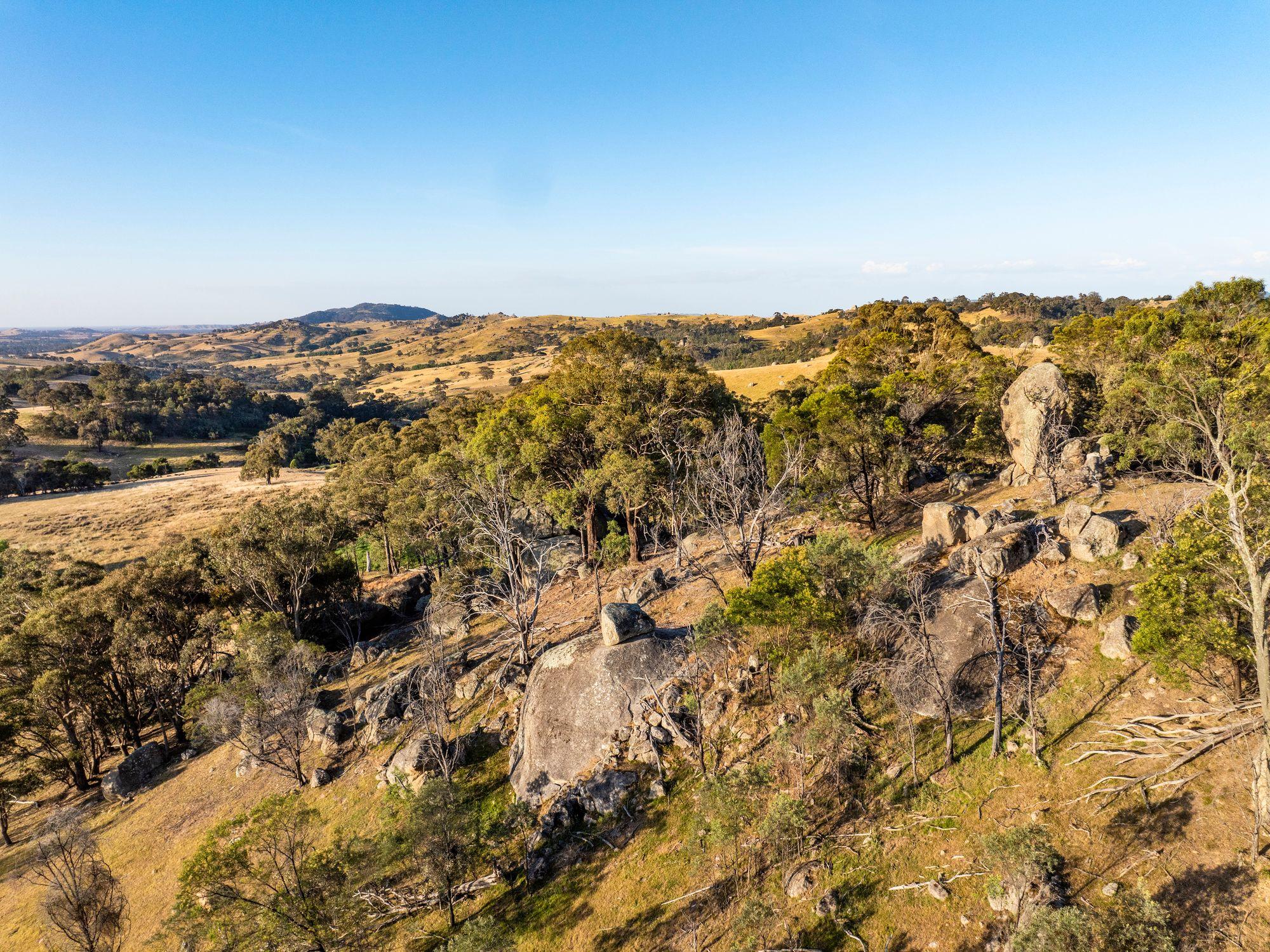 750 Acres of Nature, Production & Possibility