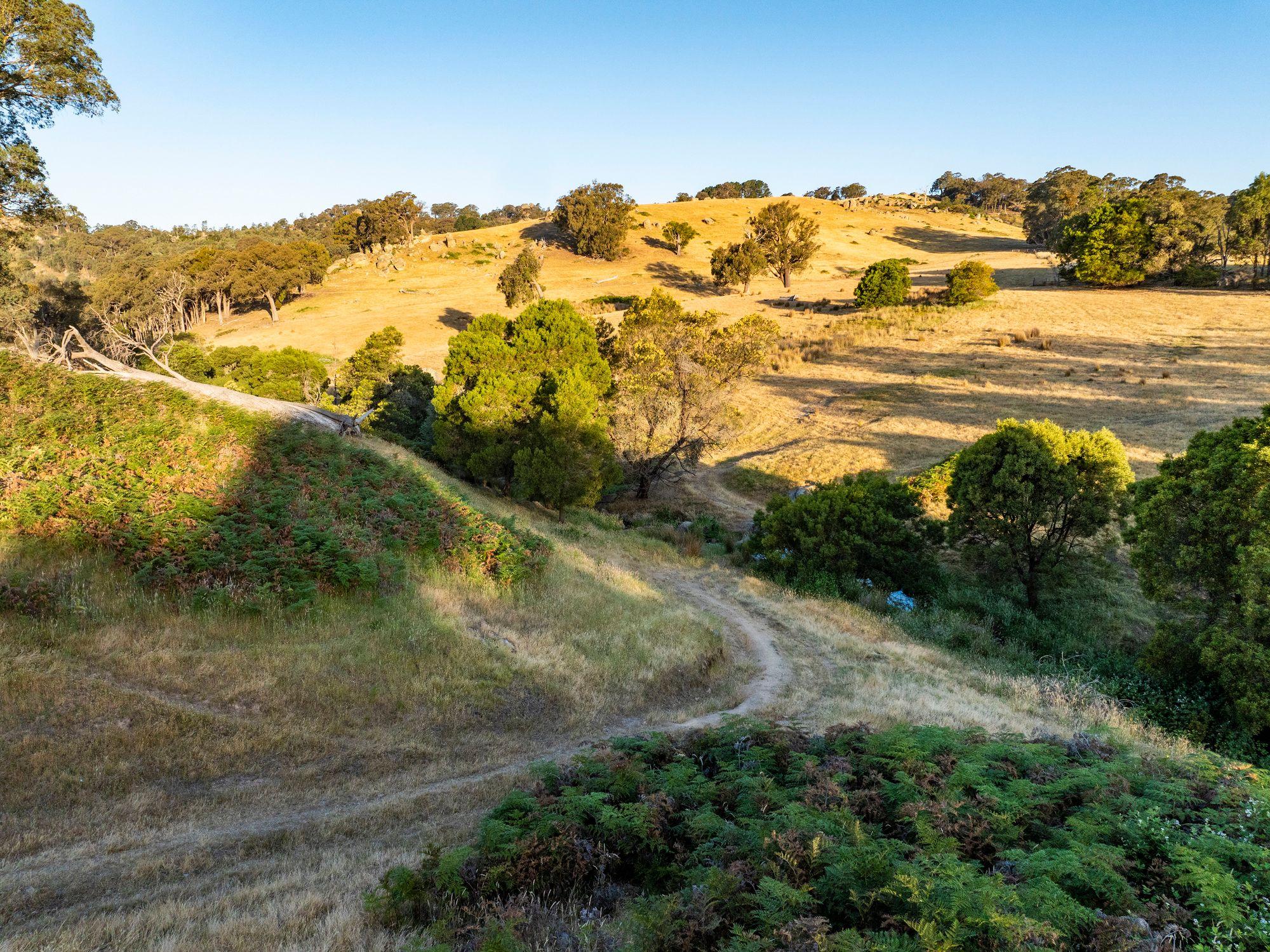 750 Acres of Nature, Production & Possibility