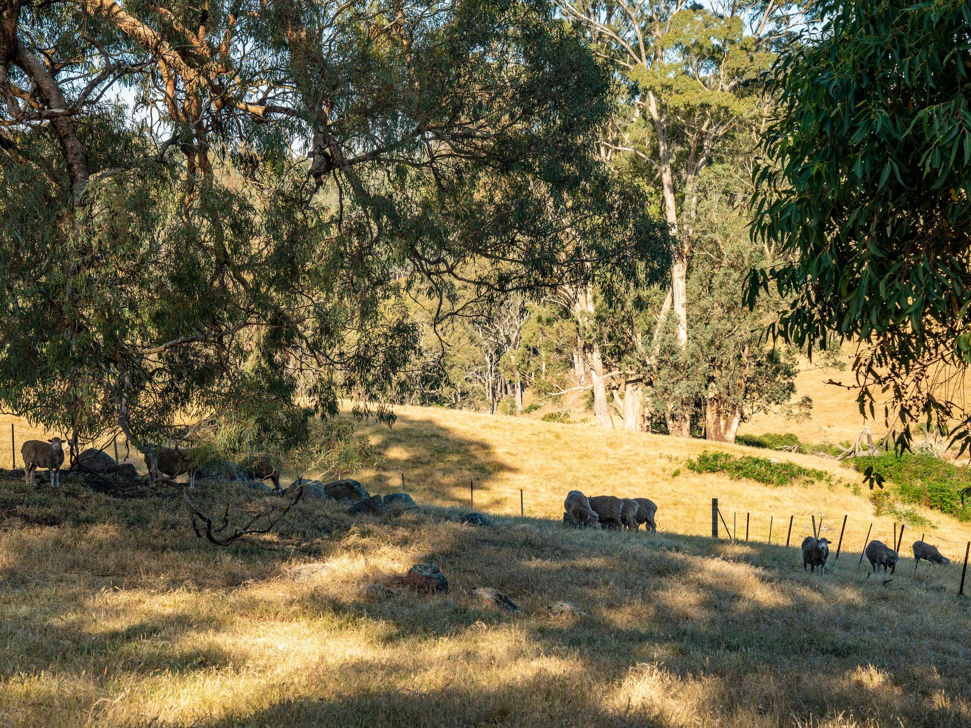 750 Acres of Nature, Production & Possibility